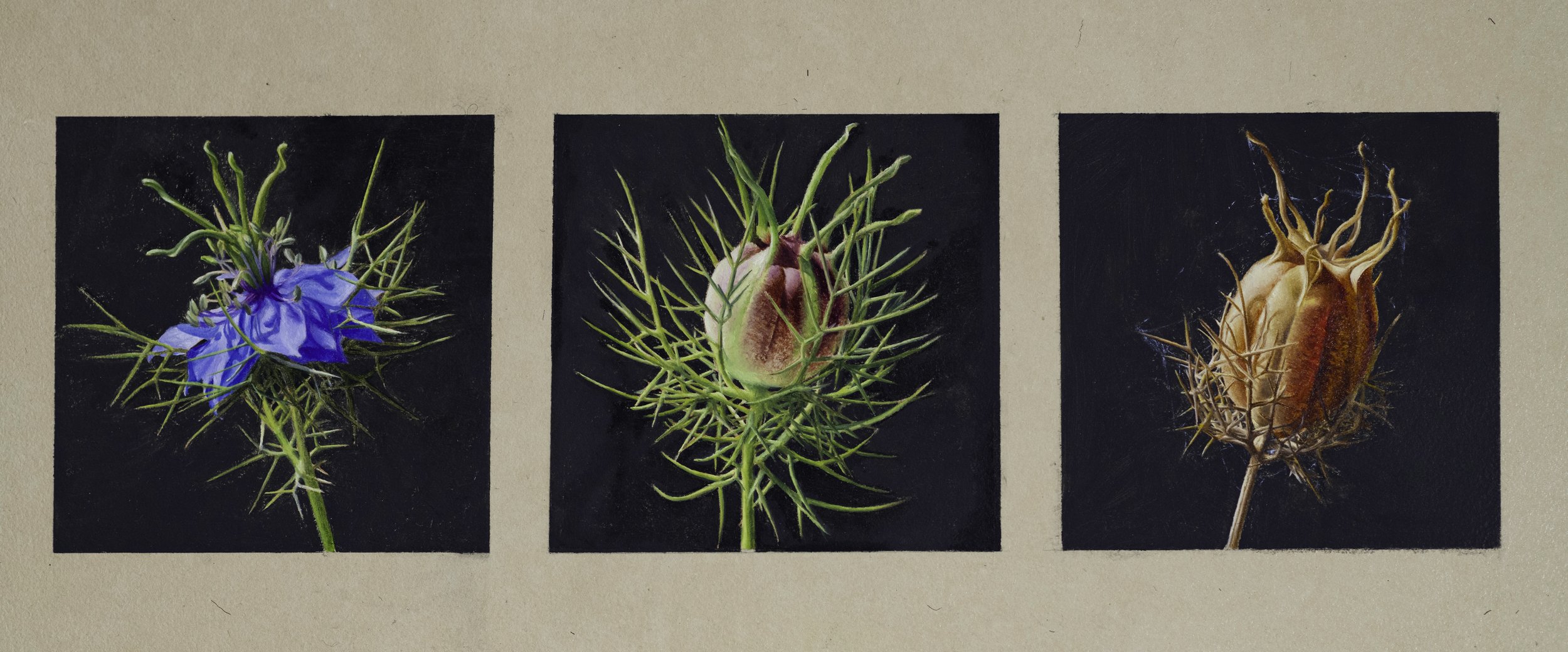 Oil paint on paper handmade by the artist | 24"x18"