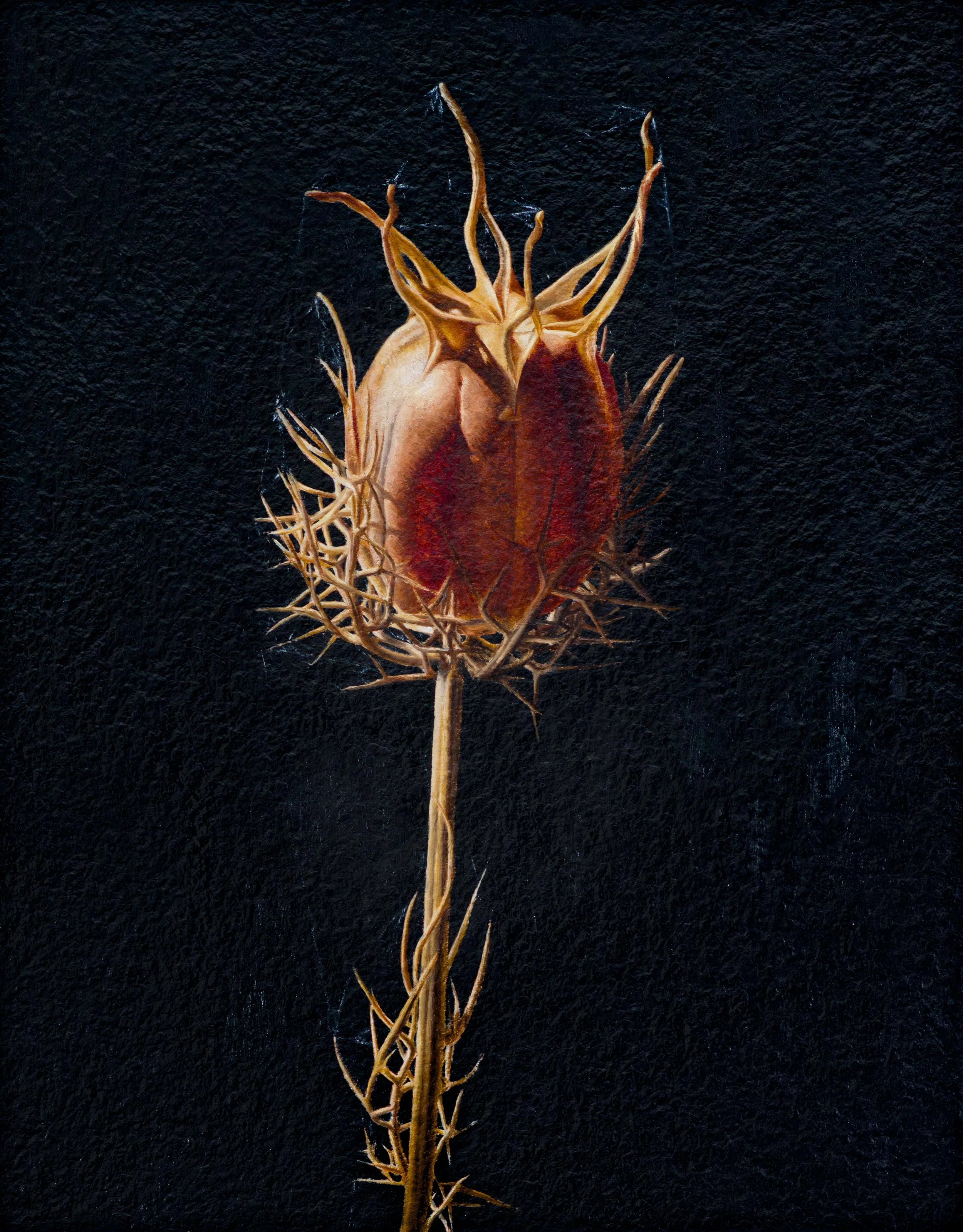 Oil paint on paper handmade by the artist | 24"x18"