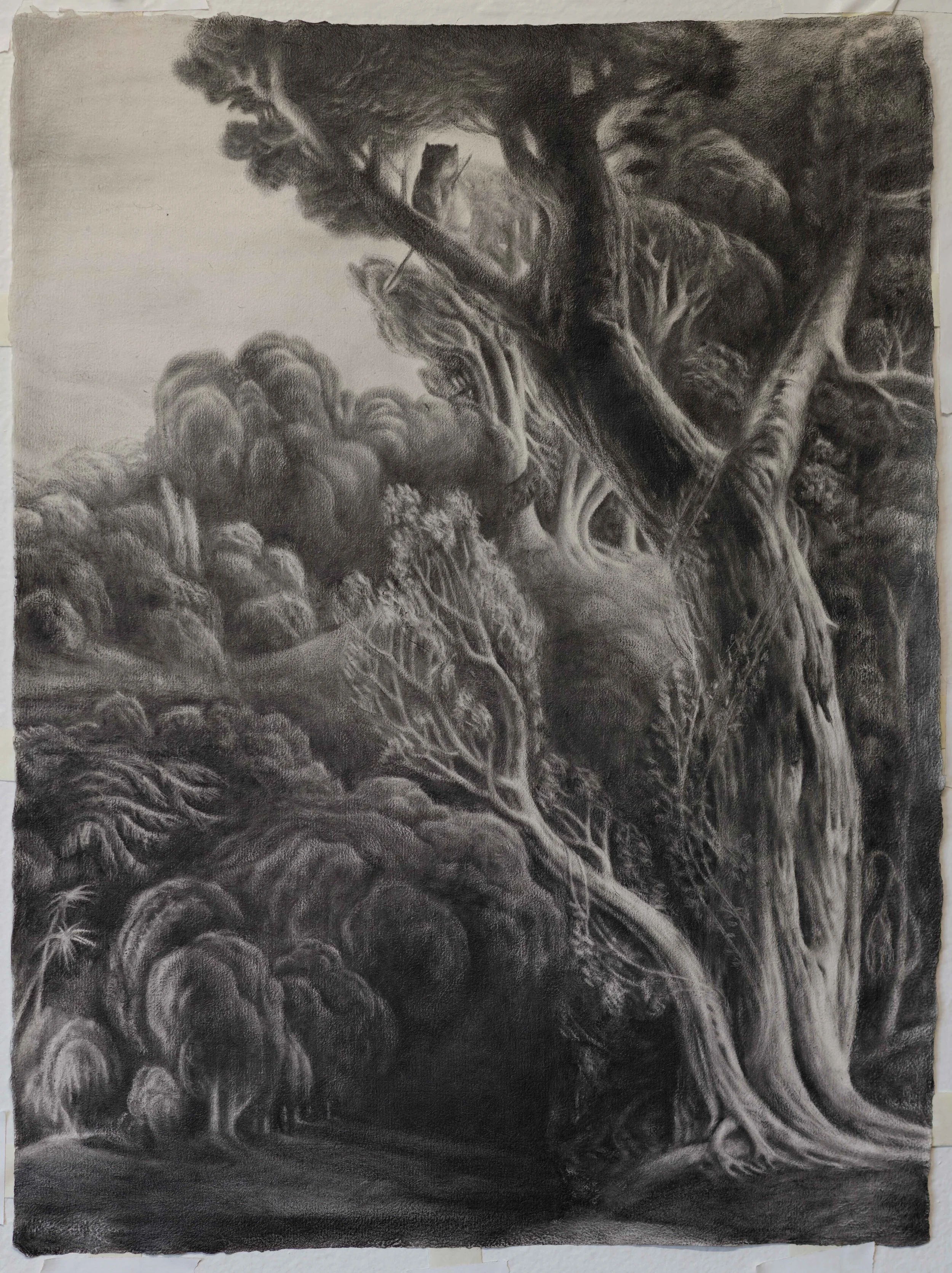 Graphite in oil on paper handmade by the artist | 24"x18"