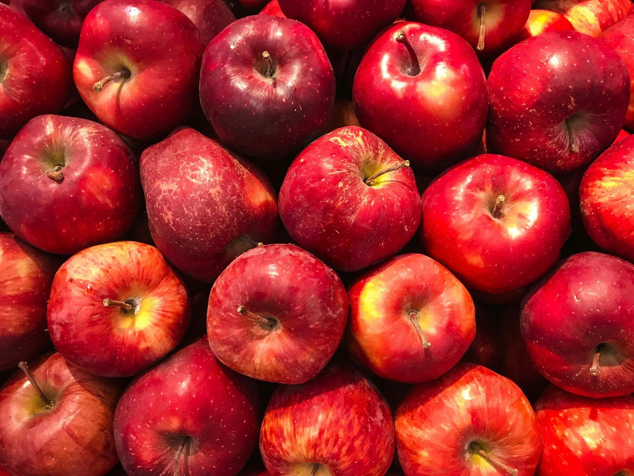 Apple Days