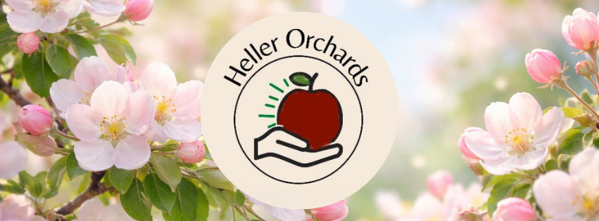 Apple Blossom Festival