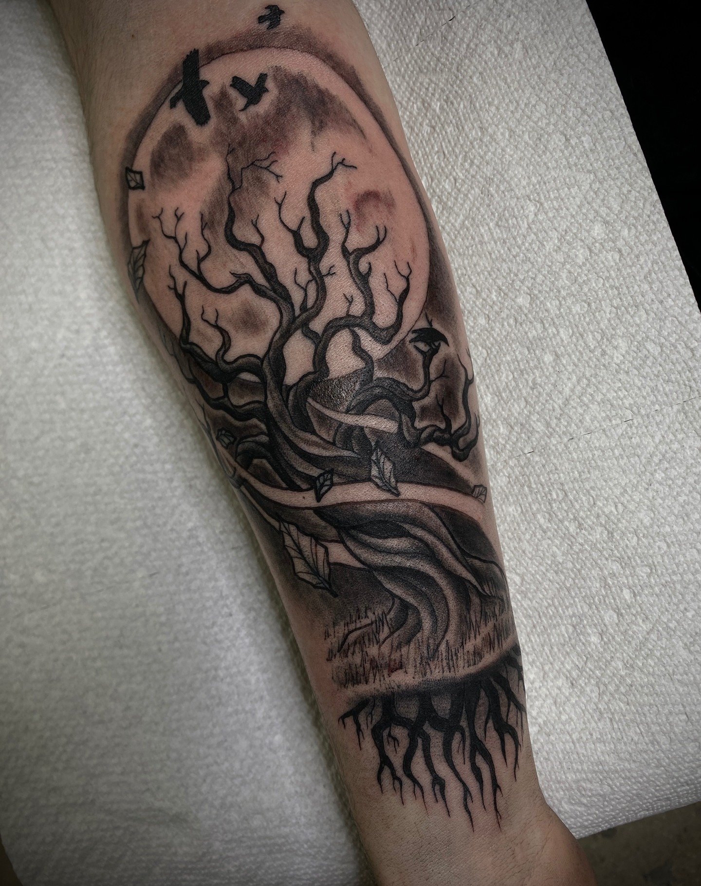 Dark poison tree scene from today🏴&zwj;☠️
