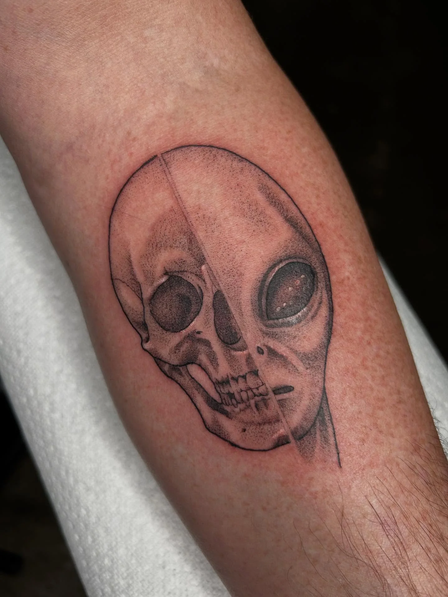 ๐ฝ๐ธ๐ฝ
#tattooartist #michigantattooartist #femaletattooartist #blackwork #blackworktattoo #stipple #stippletattoo #shading #dotwork #alien #alientattoo #skull #skulltattoos #alienskull