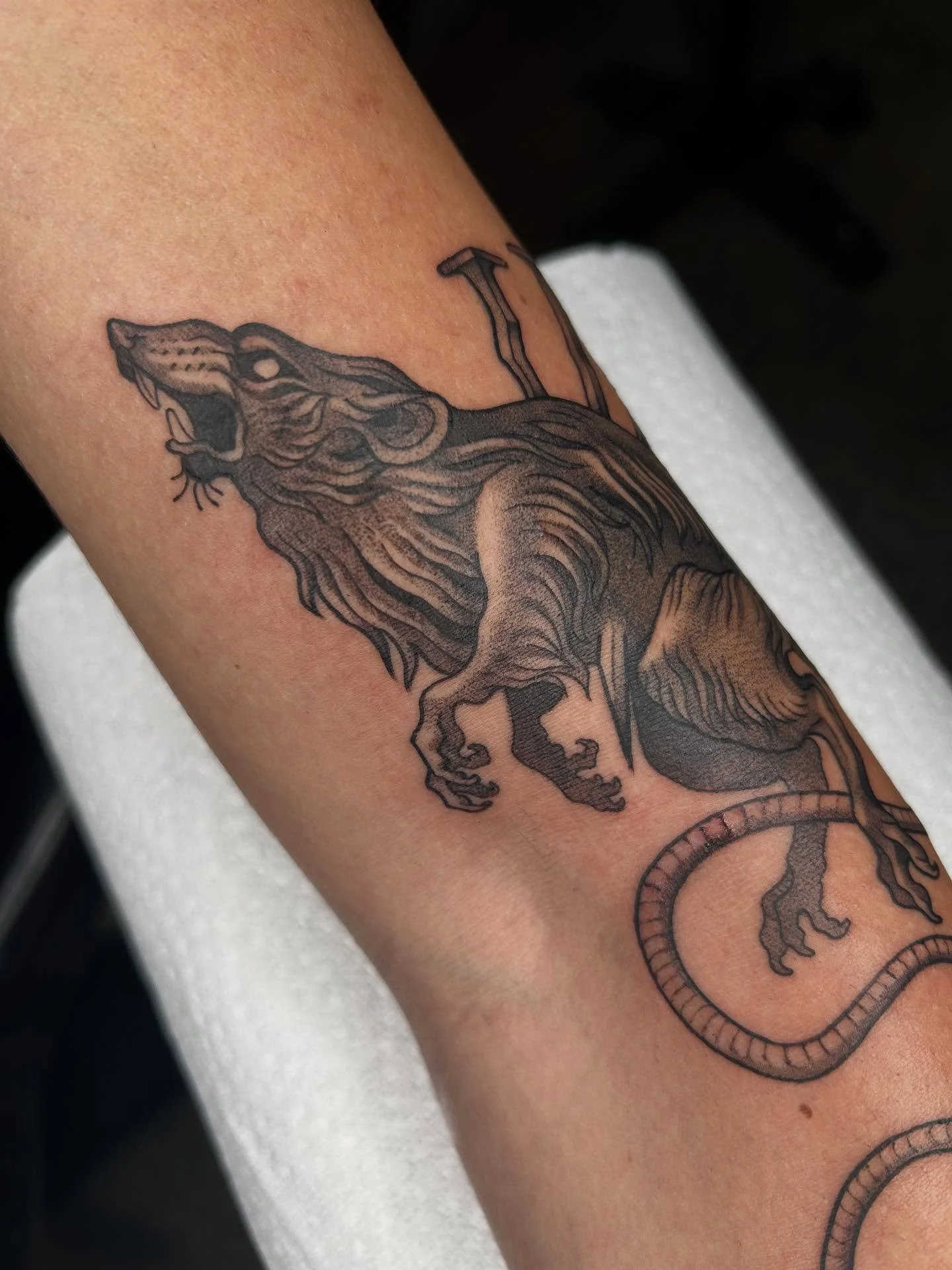 ANOTHER FLASH PIECE DONE๐๐ฝ๐๐ฝ๐๐ฝ thank you to my lovely coworker for getting it! @inkbyamo (go check his page out!!)
#tattooartist #michigantattooartist #femaletattooartist #blackwork #blackworktattoo #stipple #stippletattoo #shading #dotwork #r