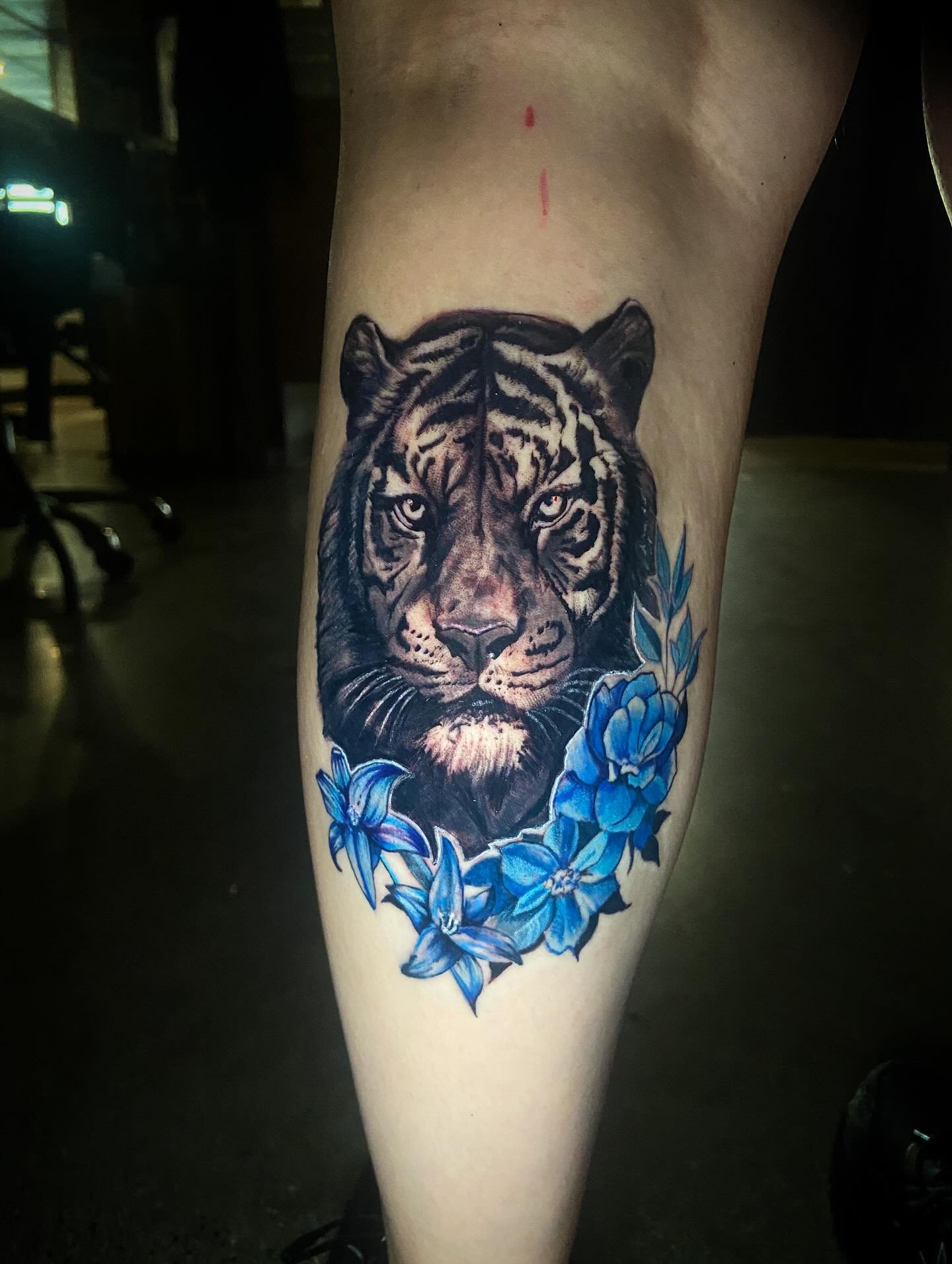 Still shot of this pretty Kitty 🐅 booking link in my bio 
-
-
-
-
-
-
##FarmingtonHills #FarmingtonHillsMI #FarmingtonHillsTattoo #MetroDetroitTattoo #DetroitTattooArtist #DetroitTattoos #MichiganTattoo #MichiganTattooArtist #OaklandCounty #MadeInMi