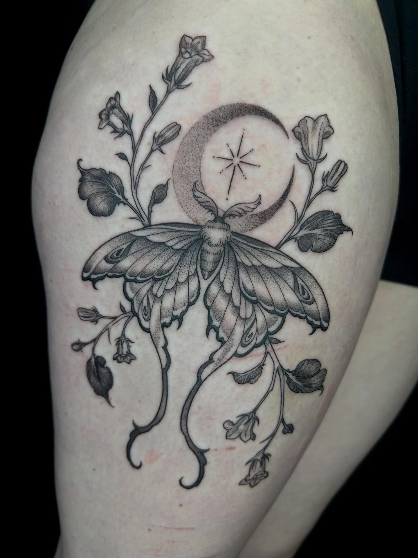 MORE BUGS PLEASE 
#tattooartist #michigantattooartist #femaletattooartist #blackwork #blackworktattoo #stipple #stippletattoo #shading #dotwork #moth #mothtattoo #nightshade #nightshadetattoo #bugtattoo #thightattoo #insecttattoo