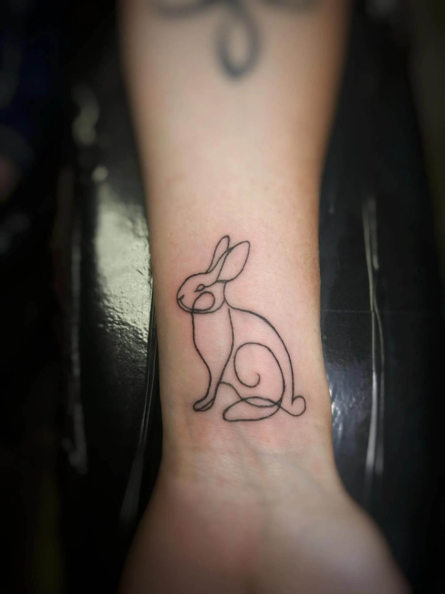 Little guy from today