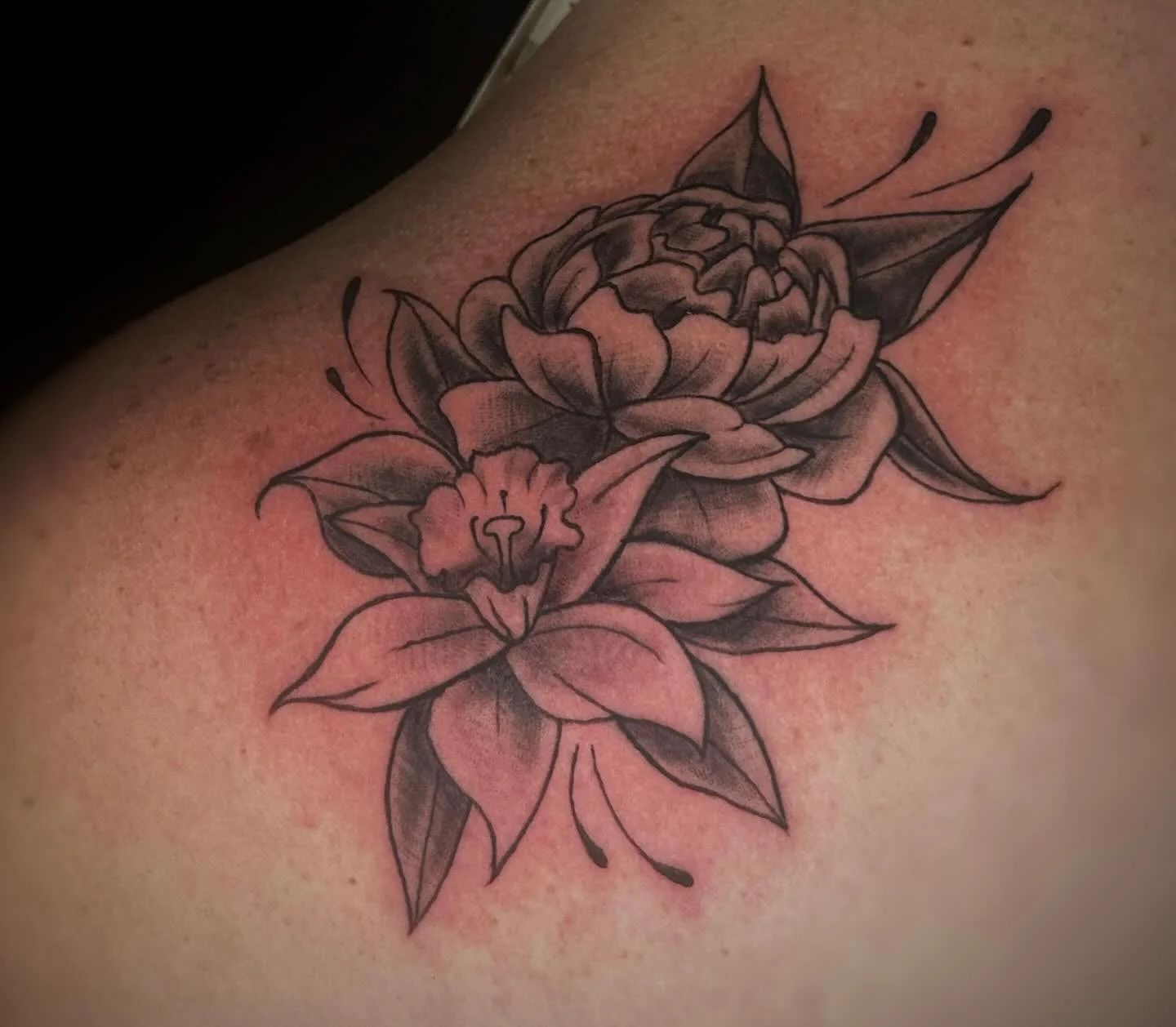 Some flowers from the other day!