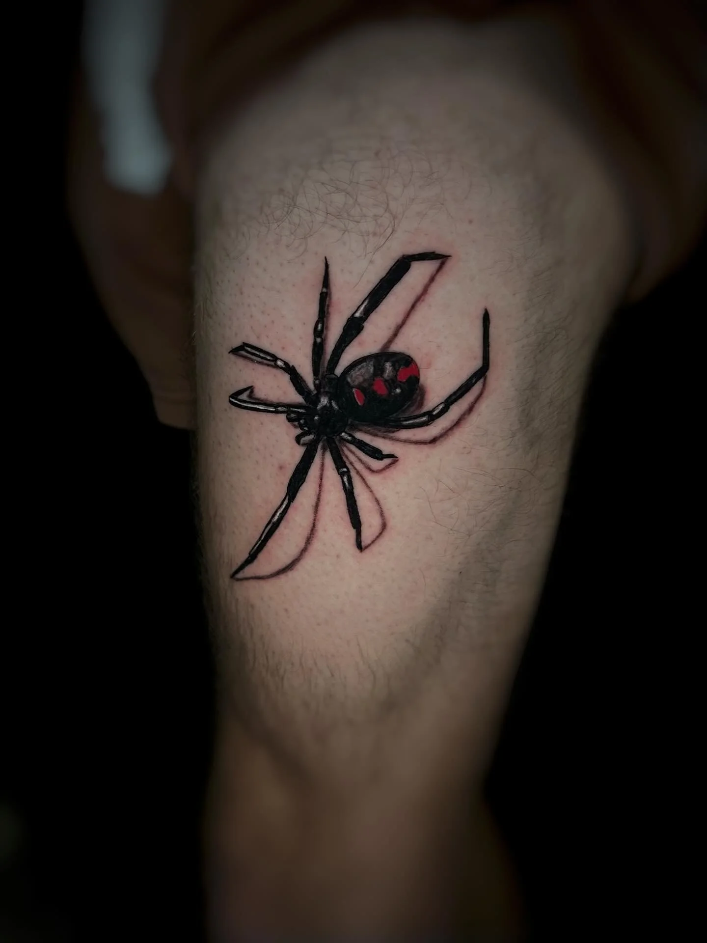 I have officially started spooky season. If you want any creepy crawlers let's DO IT