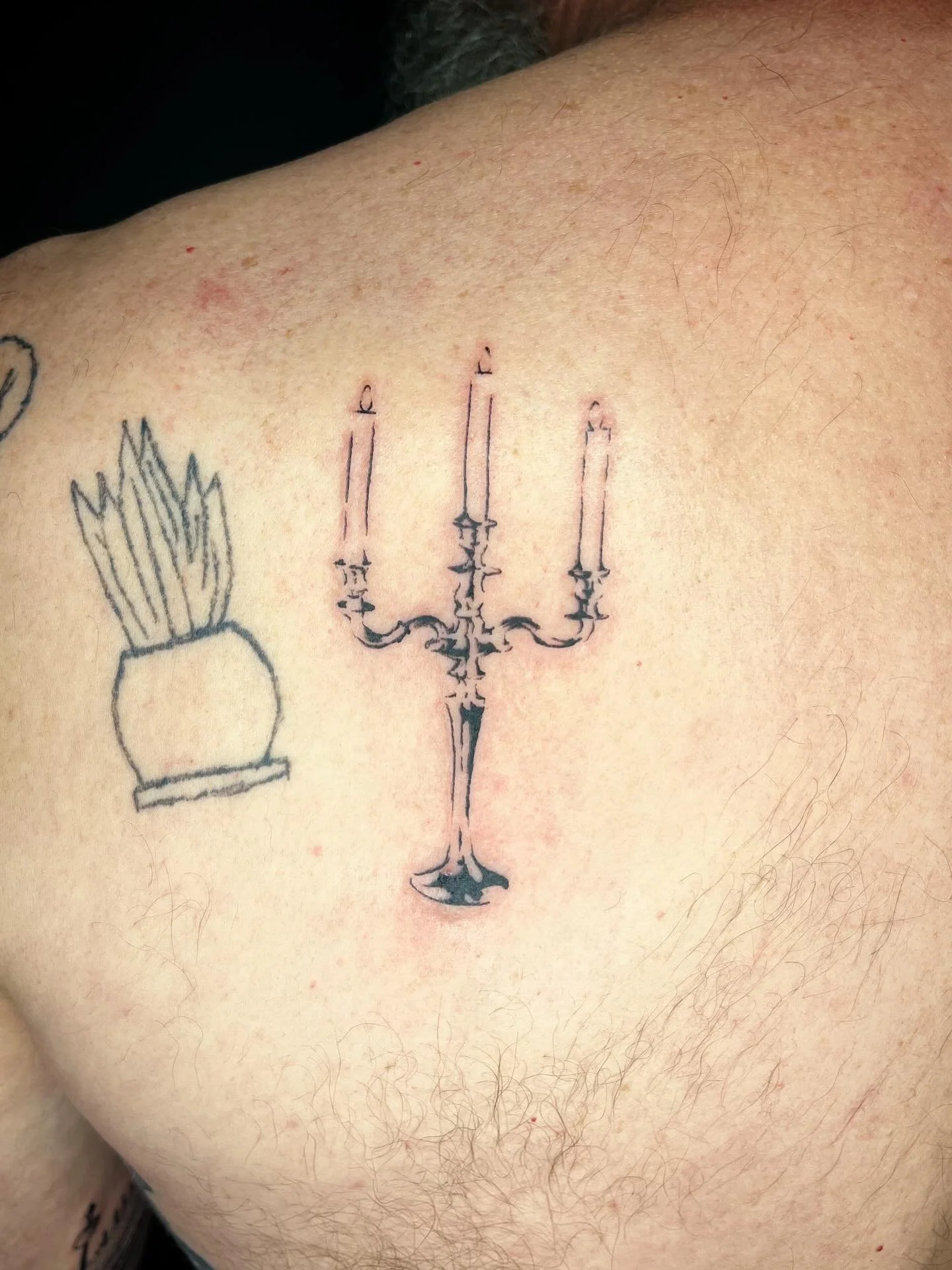 Candles and cats yay

#art #cats #candle #candleabra #flashdesign #heartlocket #antiqueframe #dotshading #blackandgrey #tattoos