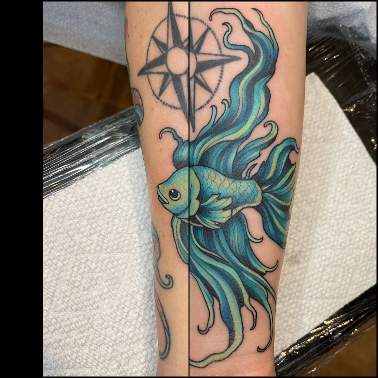 Beta fish 🐟 thank you Erika ! 
Claudiocamilucci@gmail.com

#flintmichigan #flinttattooartist #michigantattooers #michigantattooartist #colortattoo