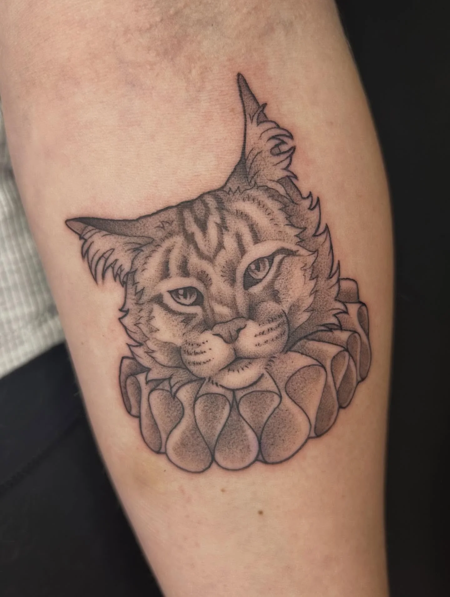 Would love to do more silly pet cat portraits like come on look at this🤣

#tattooartist #michigantattooartist #femaletattooartist #blackwork #blackworktattoo