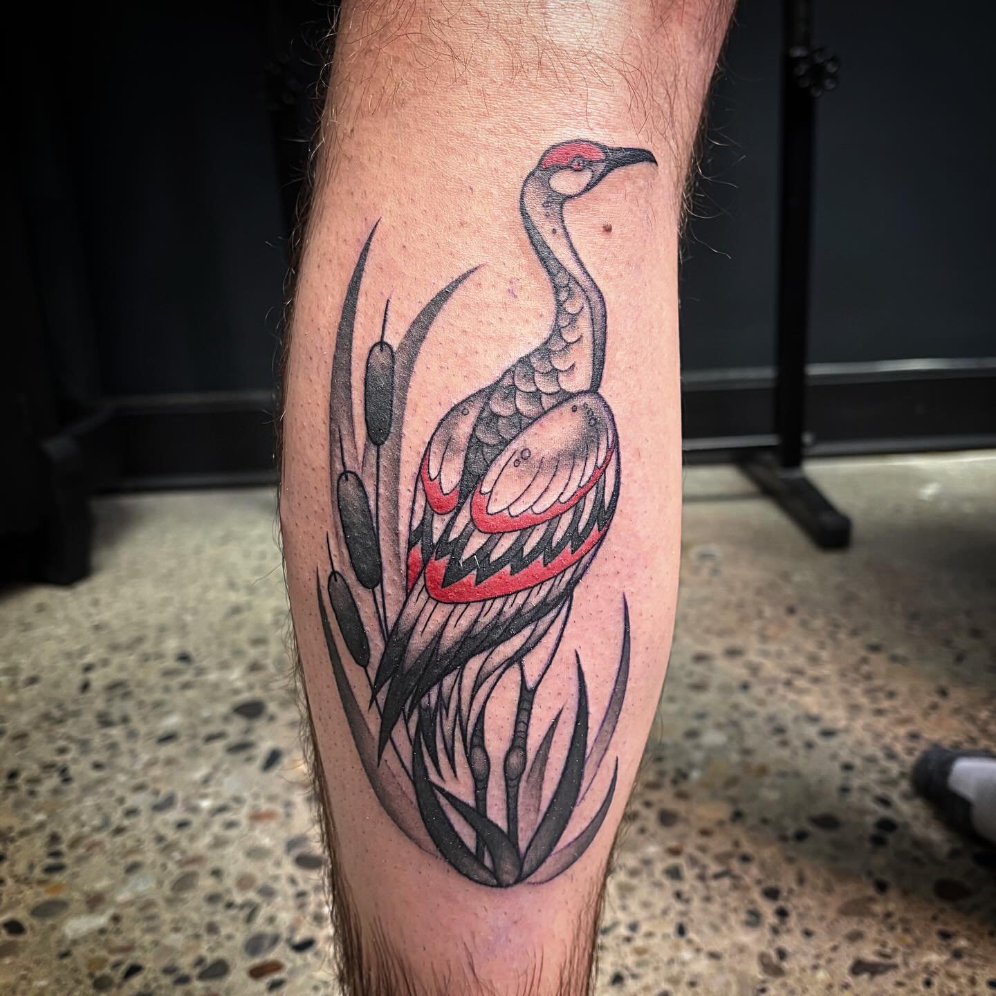 Lil traditional sandhill crane for my buddy RJ, thank you again! I&rsquo;m always down for a good traditional style tattoo!

@hive.tattoo.studio 

#flinttattooartist #michigantattooartist #ladytattooer #colortattooartist #michiganartist