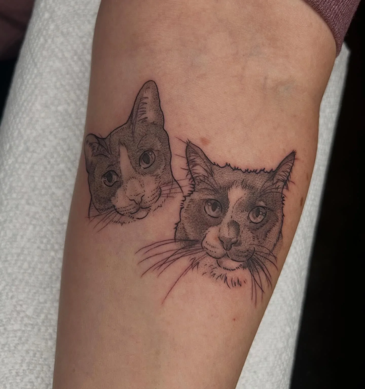 More sweet babies🥺 gimme all your pets 🤣

#tattooartist #michigantattooartist #femaletattooartist #blackwork #blackworktattoo