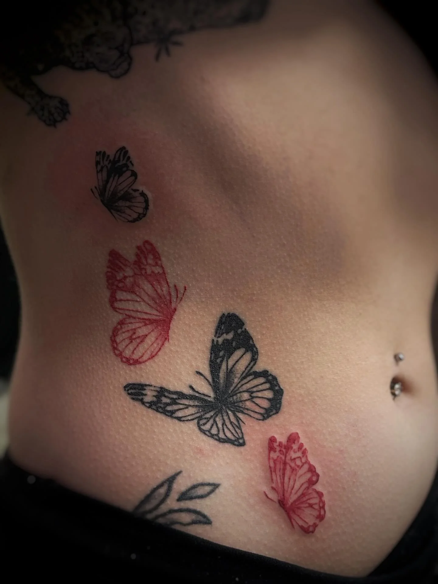 Added to these butterflies! I did the two in the middle a few weeks ago