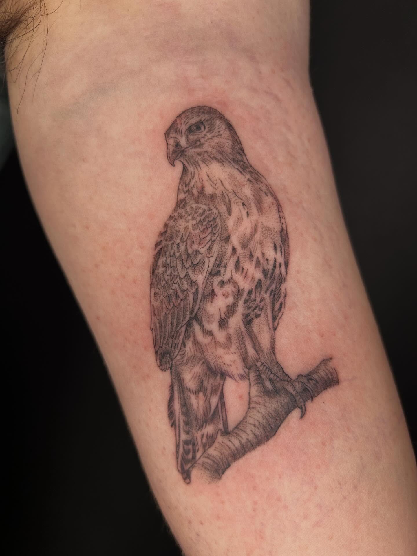 Burb🦅🦅🦅

#tattooartist #michigantattooartist #femaletattooartist #blackwork #blackworktattoo