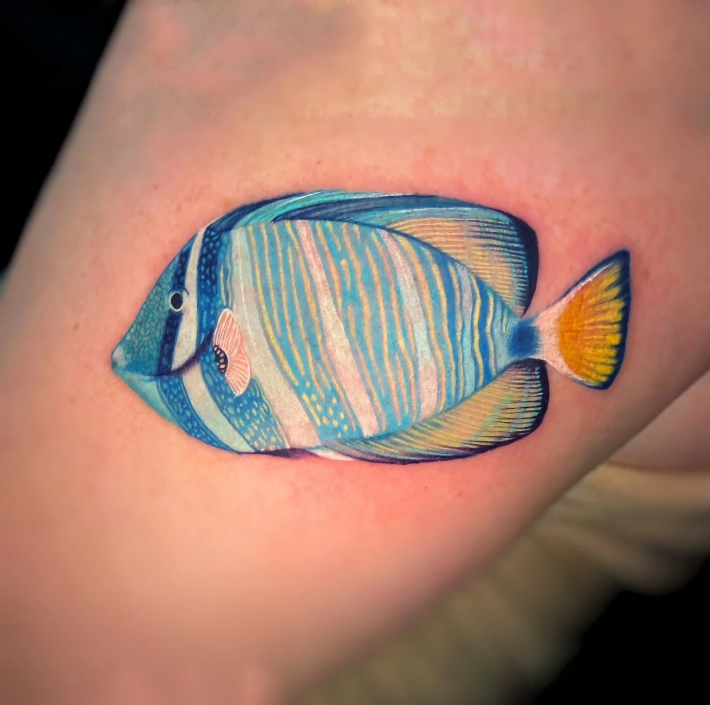 Look at this cute angel fish I did! He&rsquo;s so cute! If you want a sea creature tattooed on you, I&rsquo;m your gal! This was SO MUCH FUN!