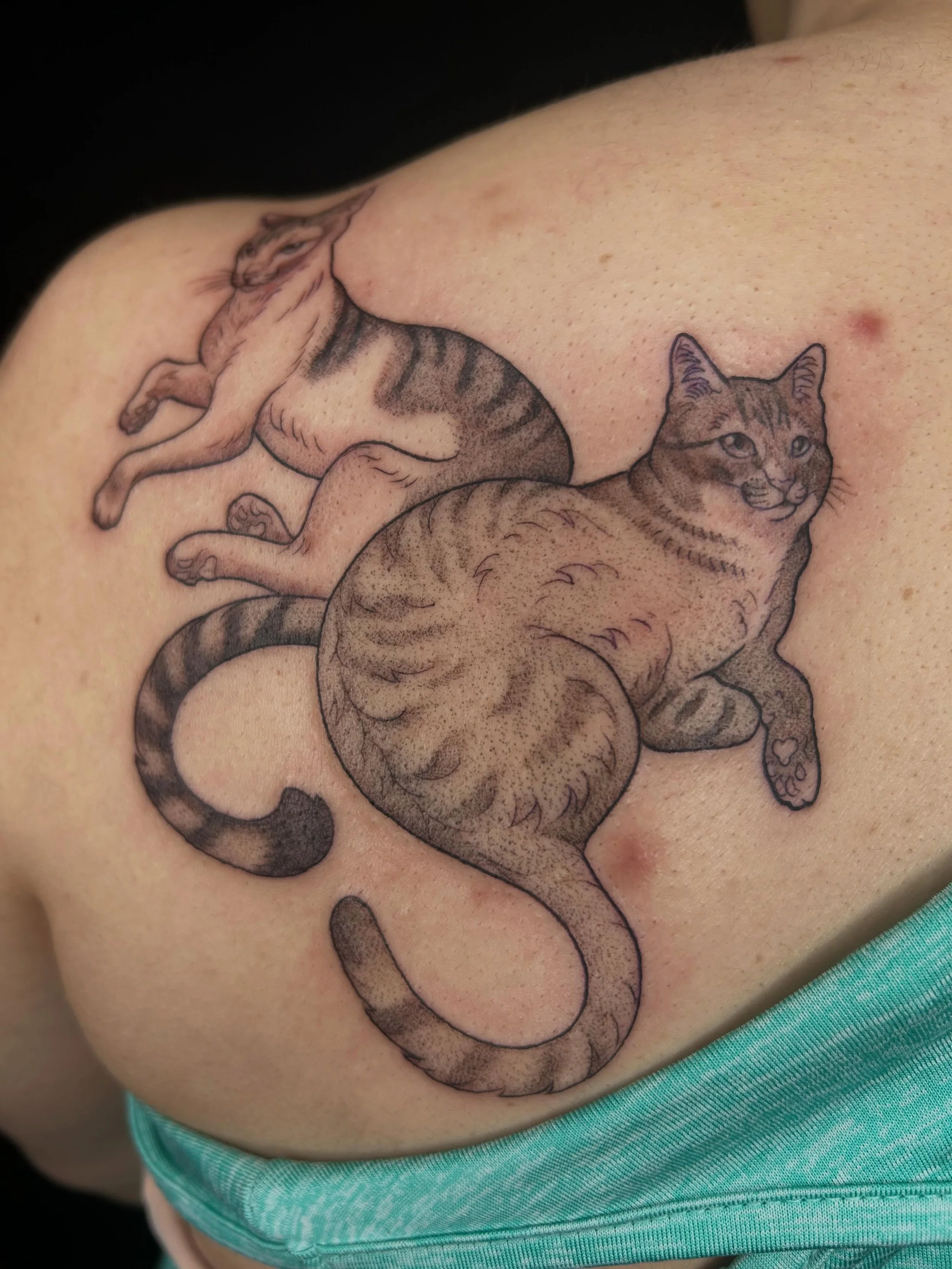 GIVE ME YOUR PETSSSSSSS 🐱🐶 fur babies will always have a spot in my heart

#tattooartist #michigantattooartist #femaletattooartist #blackwork #blackworktattoo