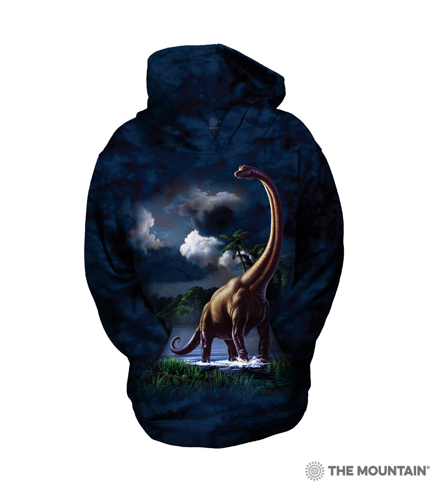 Art — - Blue Dinosaur Dolphin - Front 3101 Neck - - Long Hoodie Blue Dolphin
