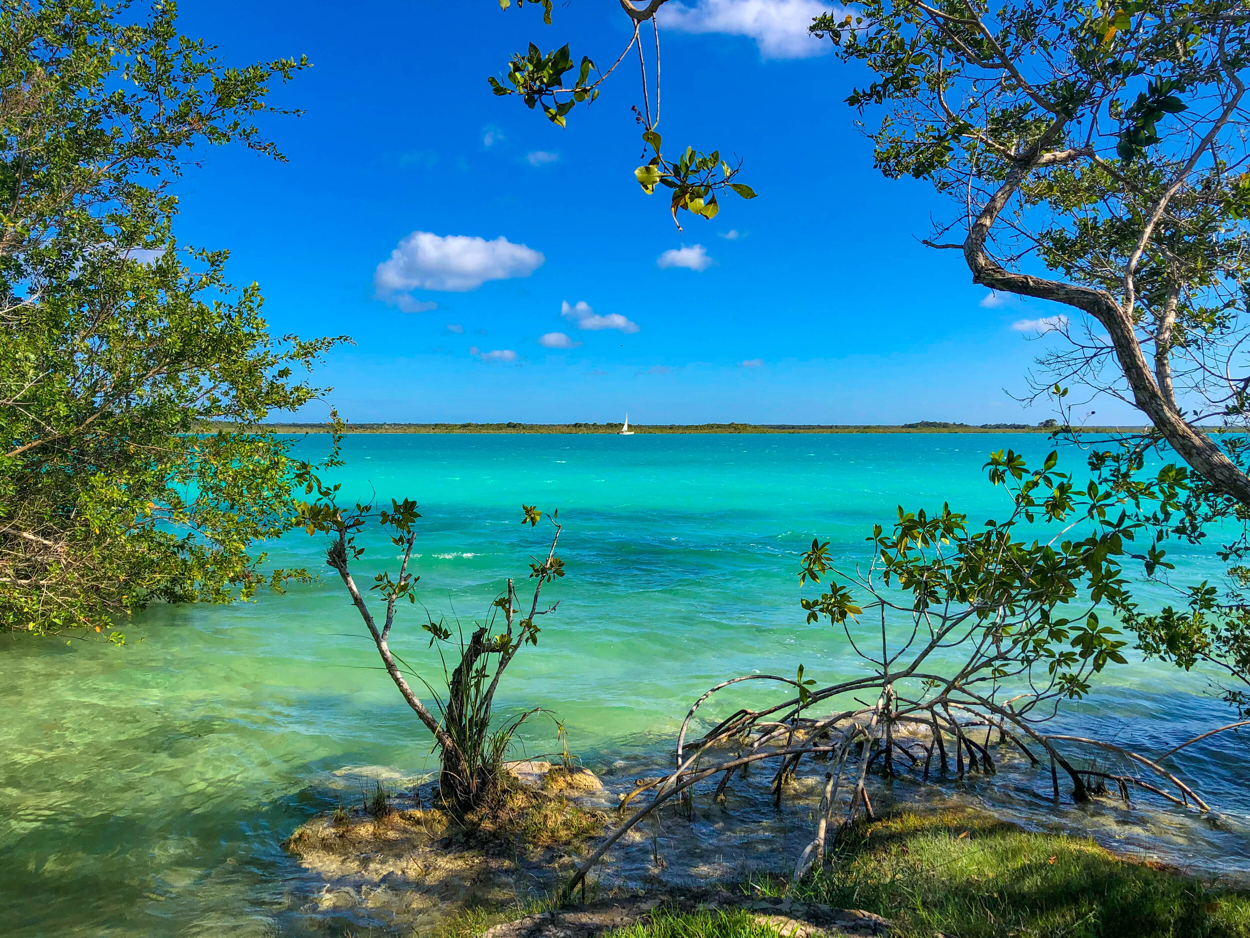 bacalar-5567.jpg