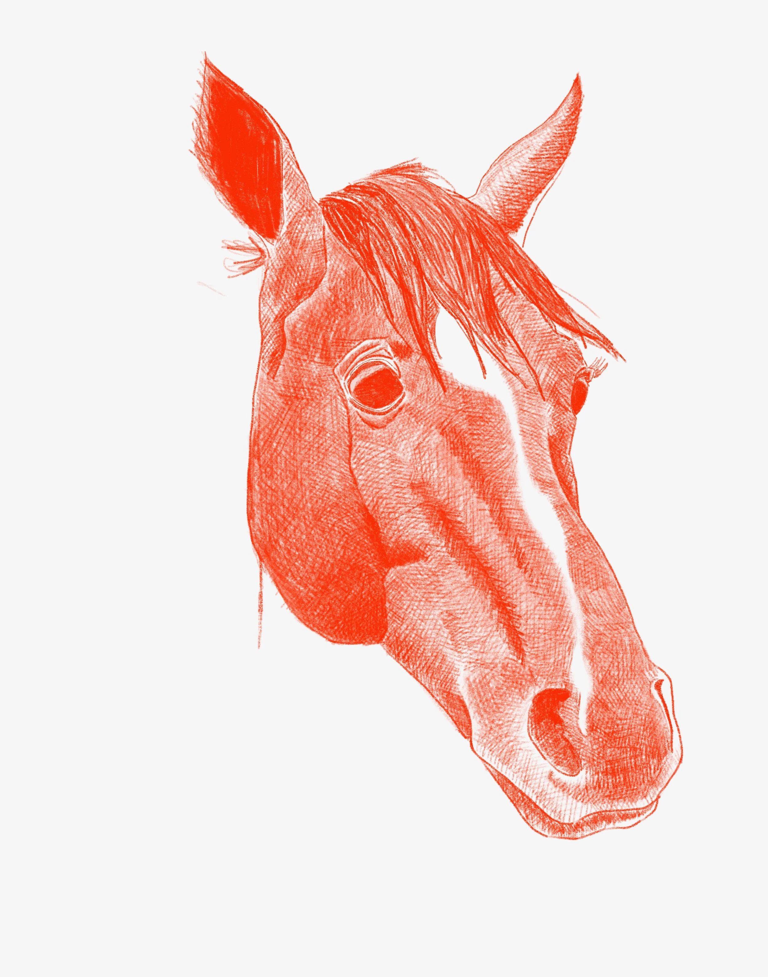 Untitled_Artwork 6.jpeg