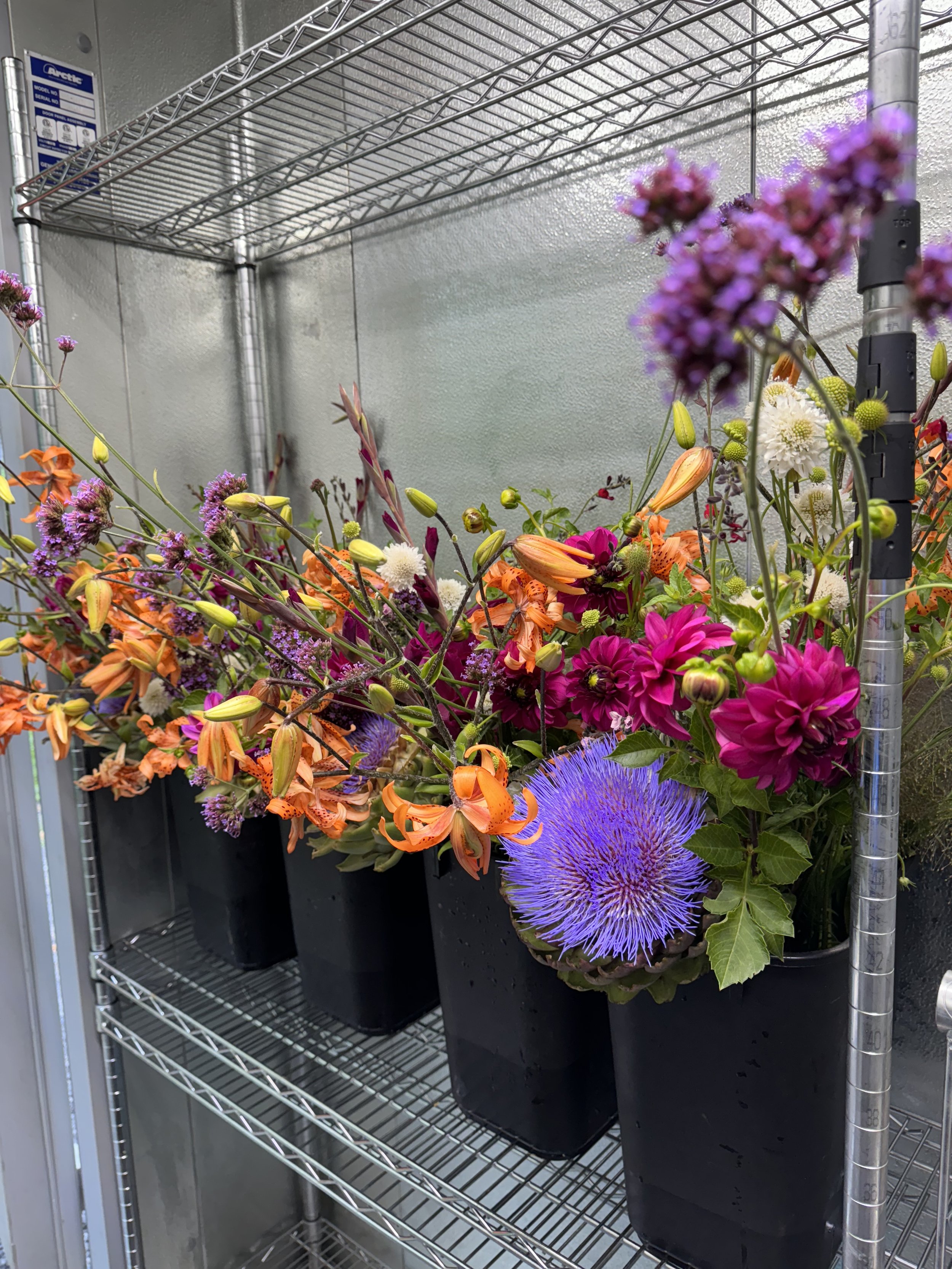 SUMMER FLOWER SHARES (July-September)