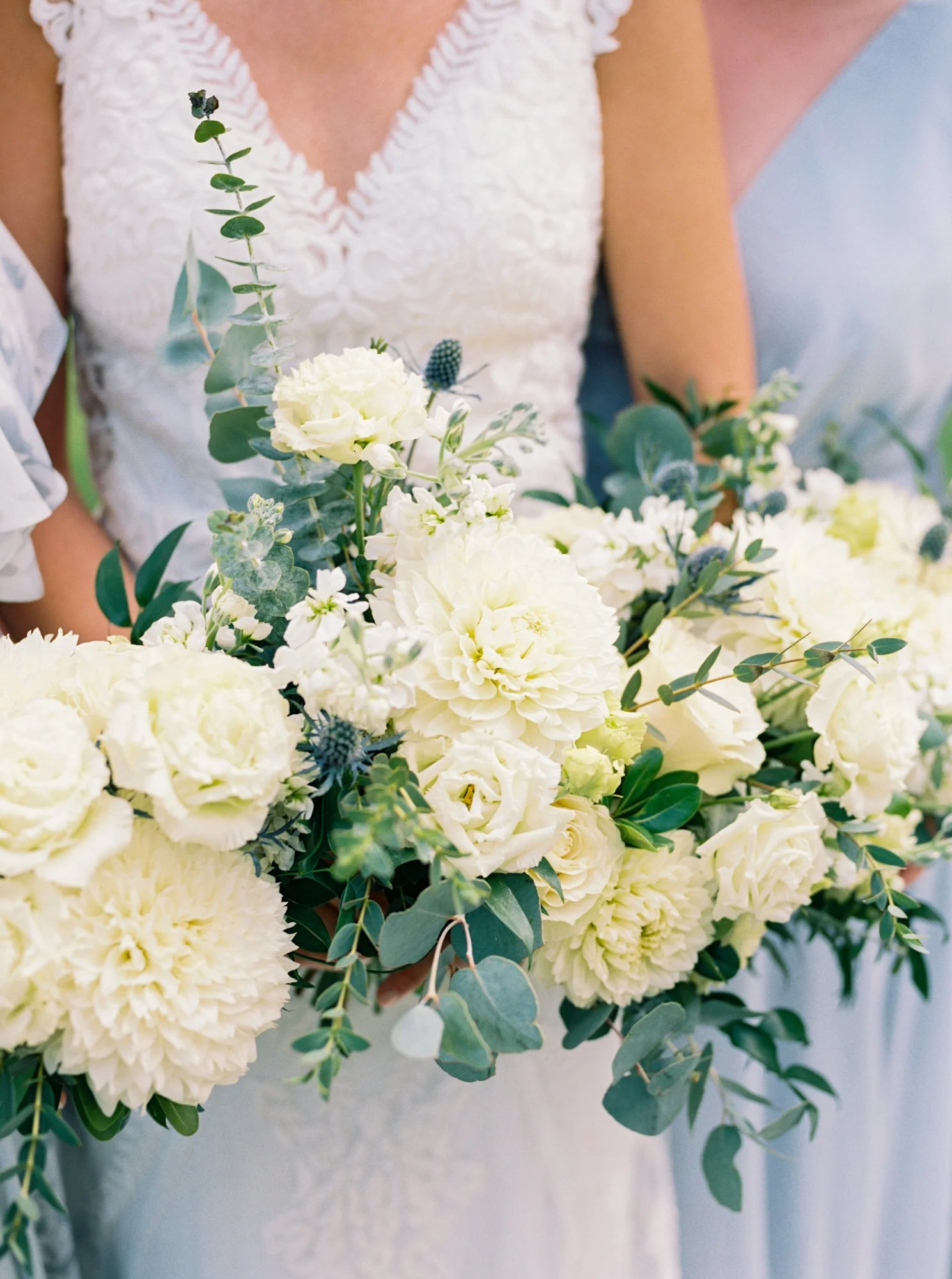 Flowers Sydney Mines Nova Scotia Best Flower Site