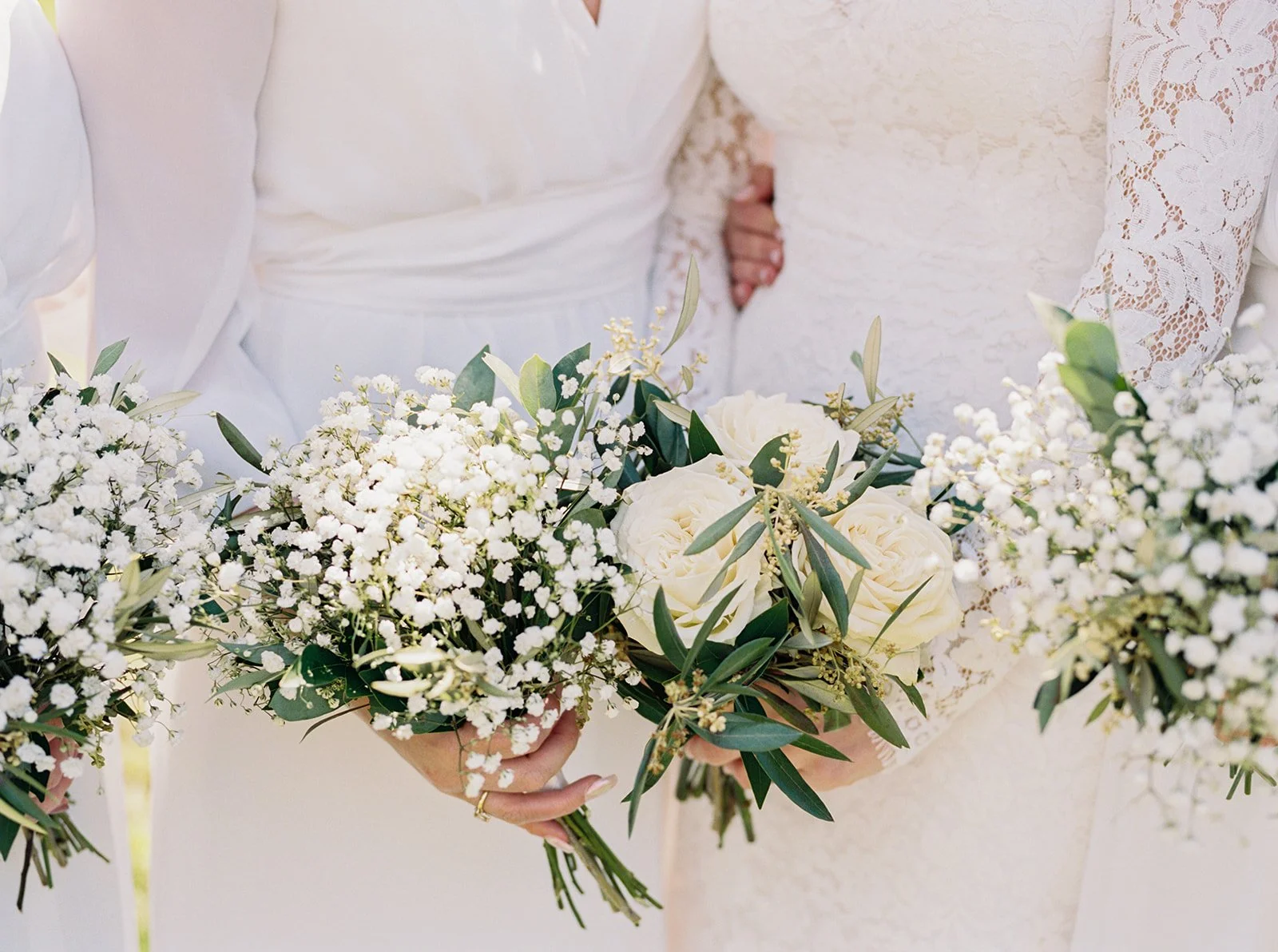 Flowers Sydney Mines Nova Scotia Best Flower Site