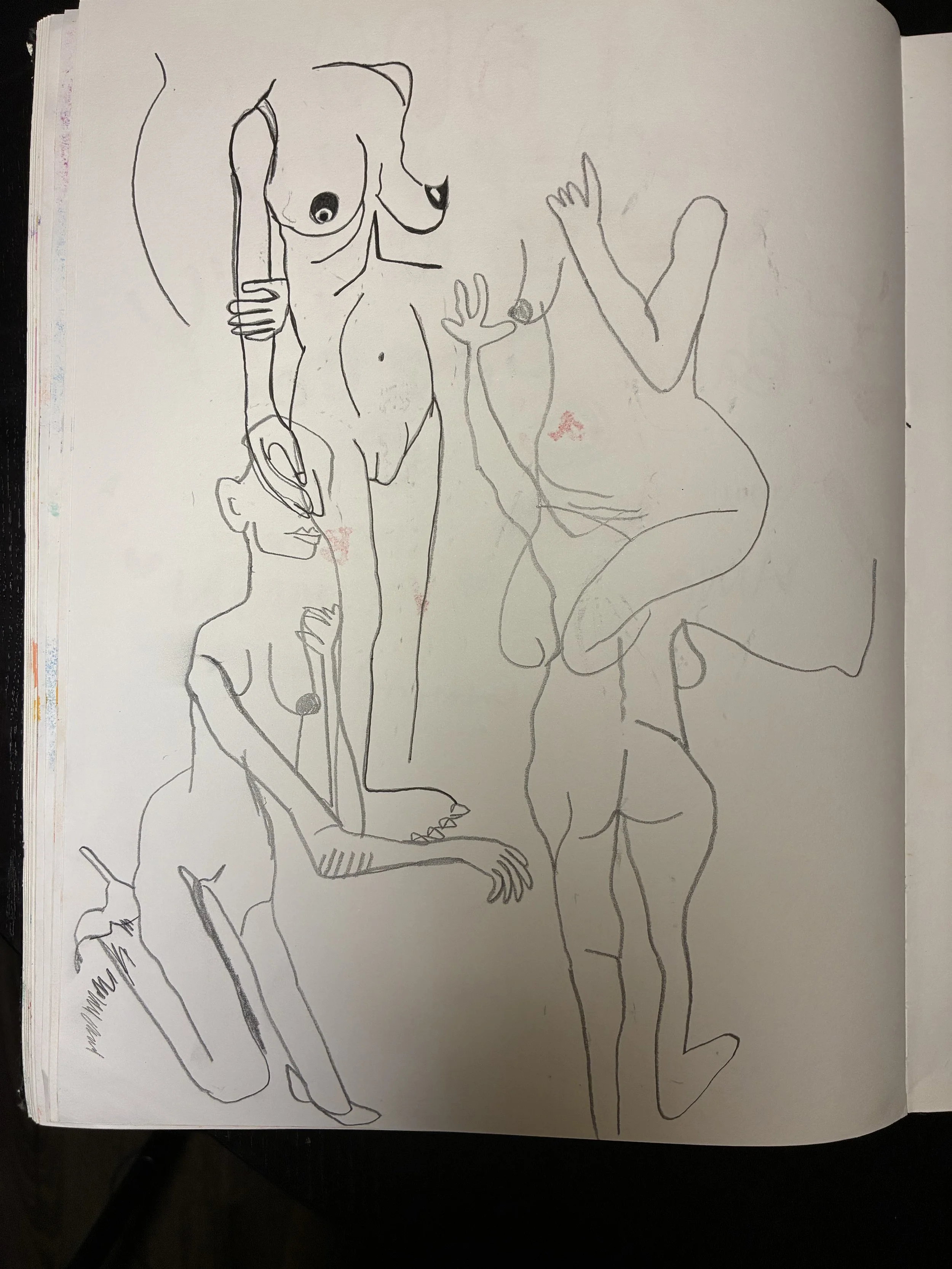 IMG_1101.jpeg