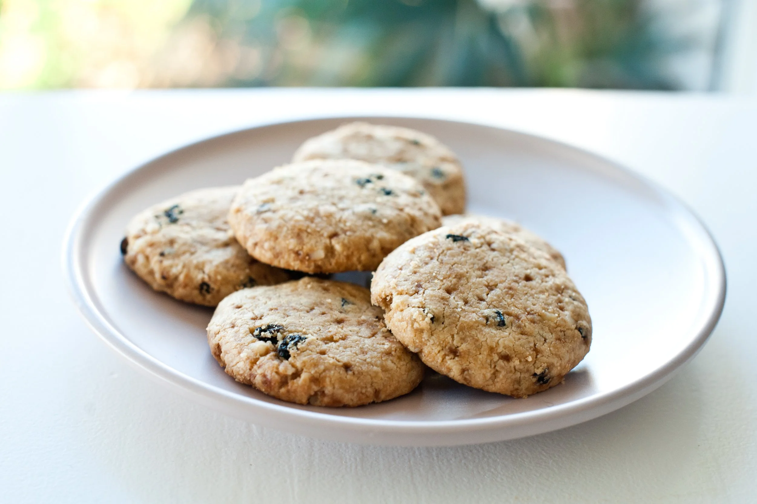 Macadamia & Currant Shortbread — Tasmanian Alternative Bakery