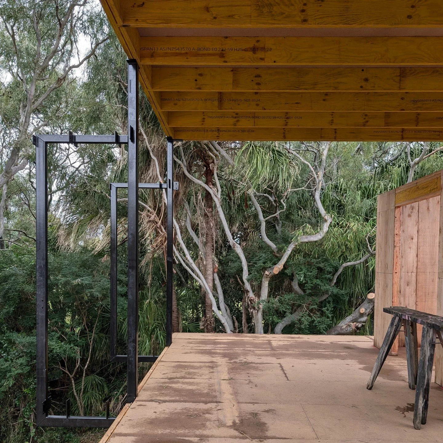 building in the trees - pity to have to add anything else by way of walls. We will add as little as we can. From last week's cylonic visit to Agnes Water. 

Frames going up quickly now - exciting!

#timbennettonarchitects #architecturestudent
#brisba