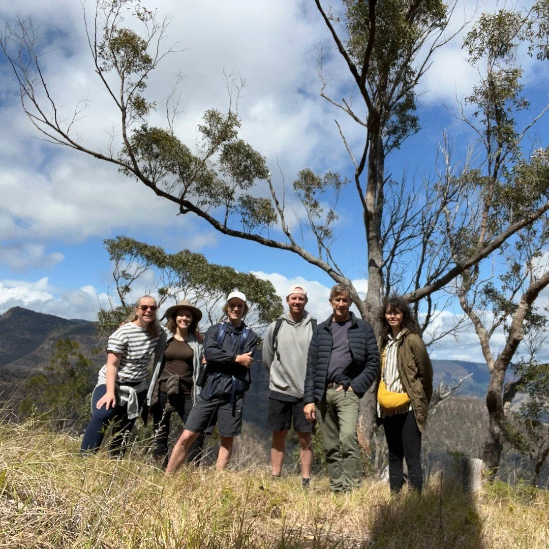 some shots of our recent retreat up in the Qld hinterland at Lamington National Park, staying at O'Reillys. A really enjoyable and productive couple of days - focussed on putting together a sustainability action plan and how to deliver smaller projec