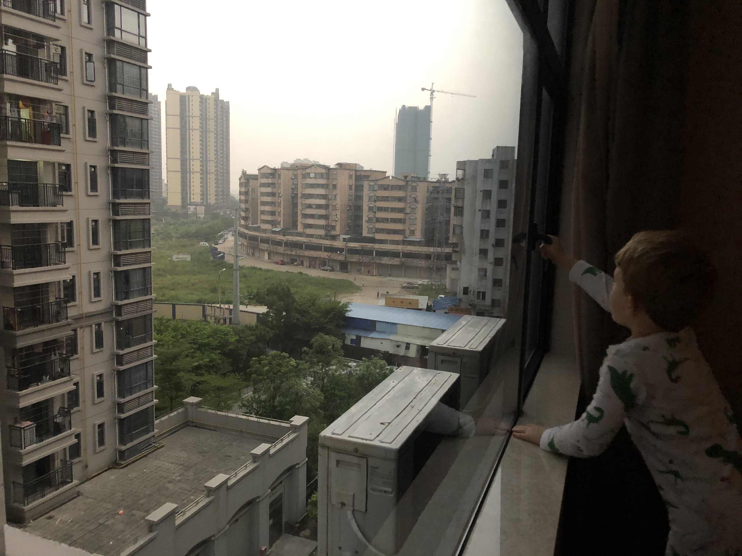 IMG_2884.jpeg