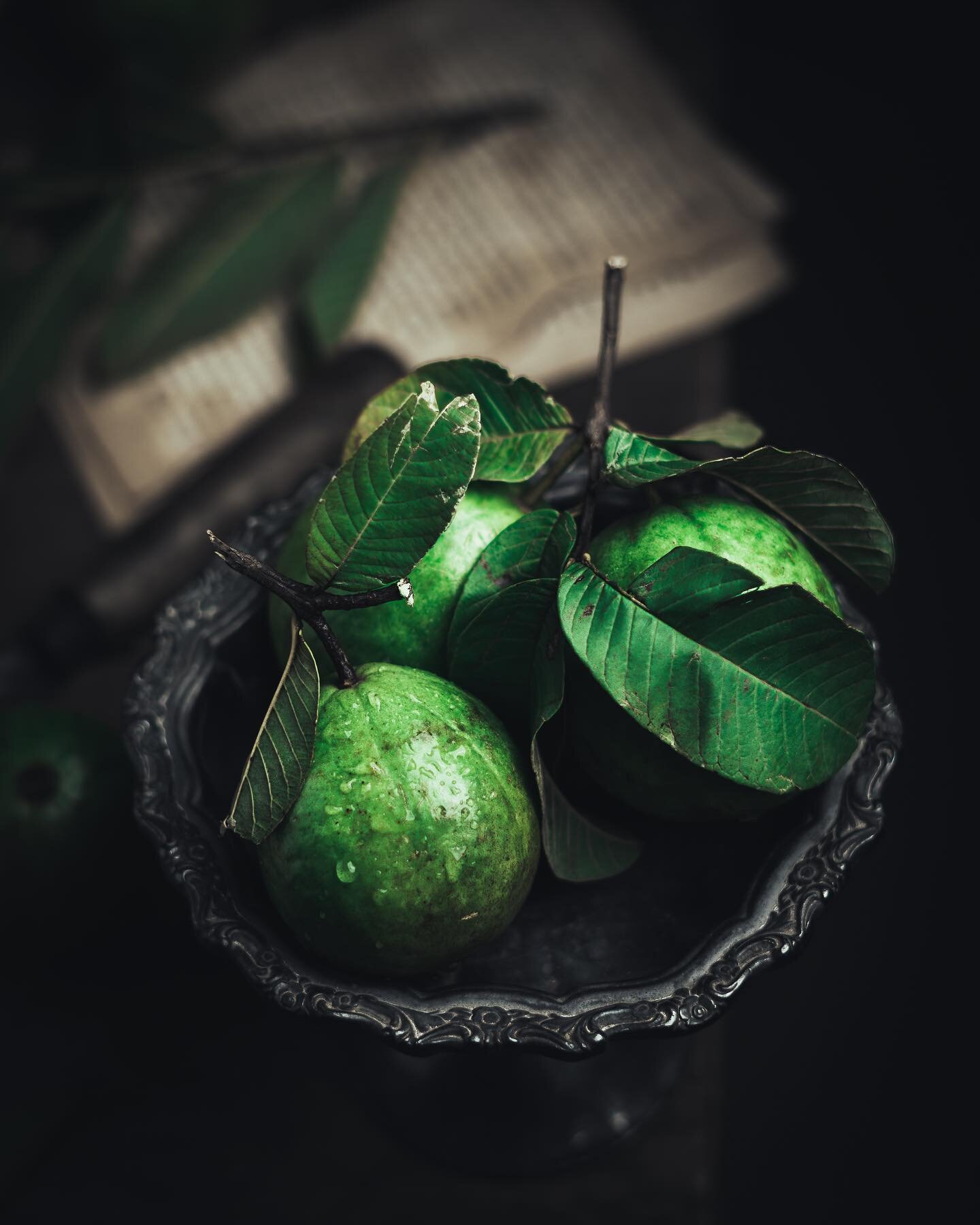 I&rsquo;ve been growing guavas and it&rsquo;s a very rewarding plant I must say! 

#plantlife #plants #growingplants #stilllife #raw_stilllife #createwithsony #sonyalphain #sonyalpha #foodphotography #foodstyling #tv_neatly #tv_stilllife #tv_fadingbe