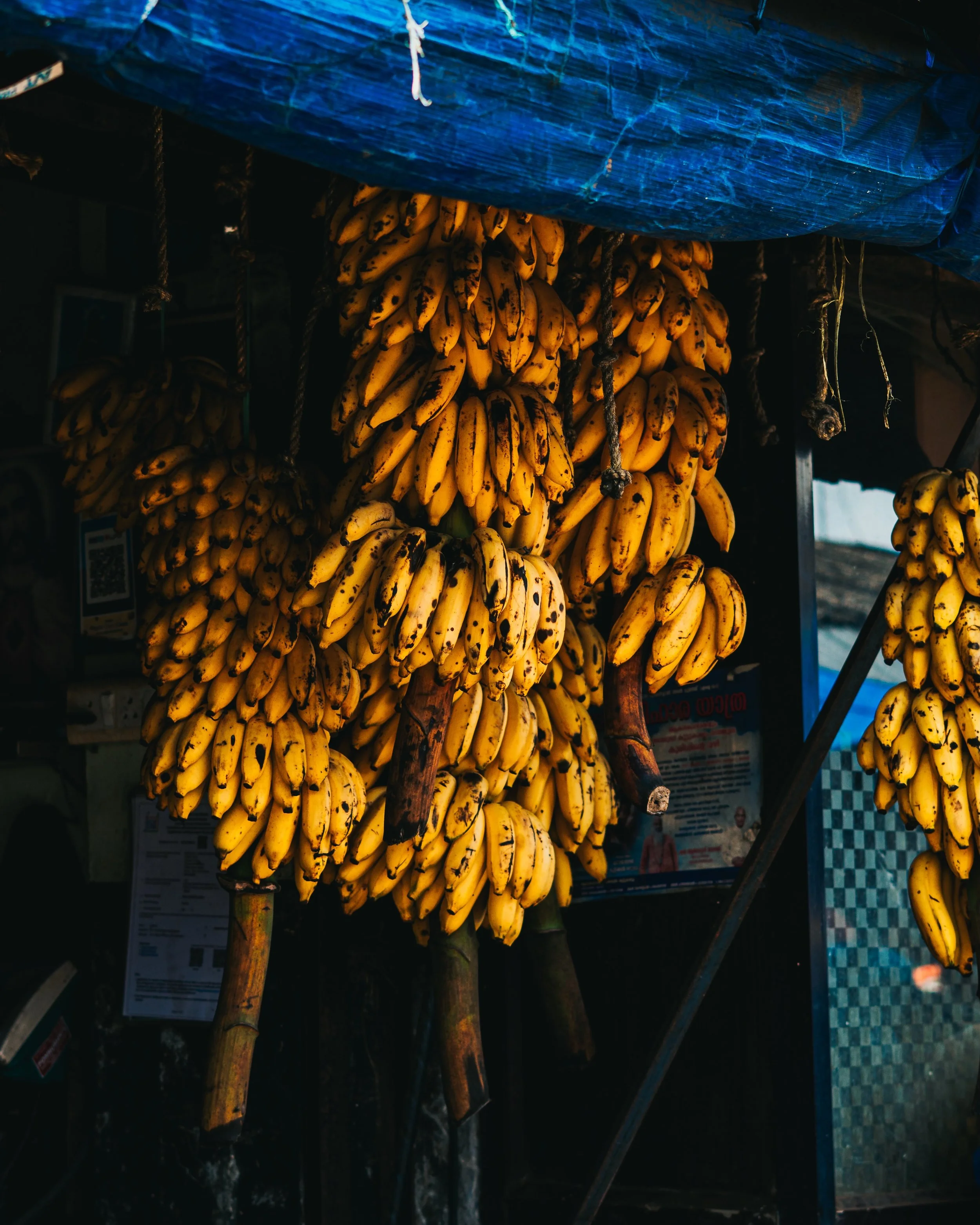 When you pause you notice&hellip; details, colour, shapes&hellip;
When they come together what you see is magic and not just the mundane&hellip;

The &ldquo;Not a Mundane day in my life&rdquo; series
Shot on : Sony Alpha @sonyalphain 
PP : Lightroom 