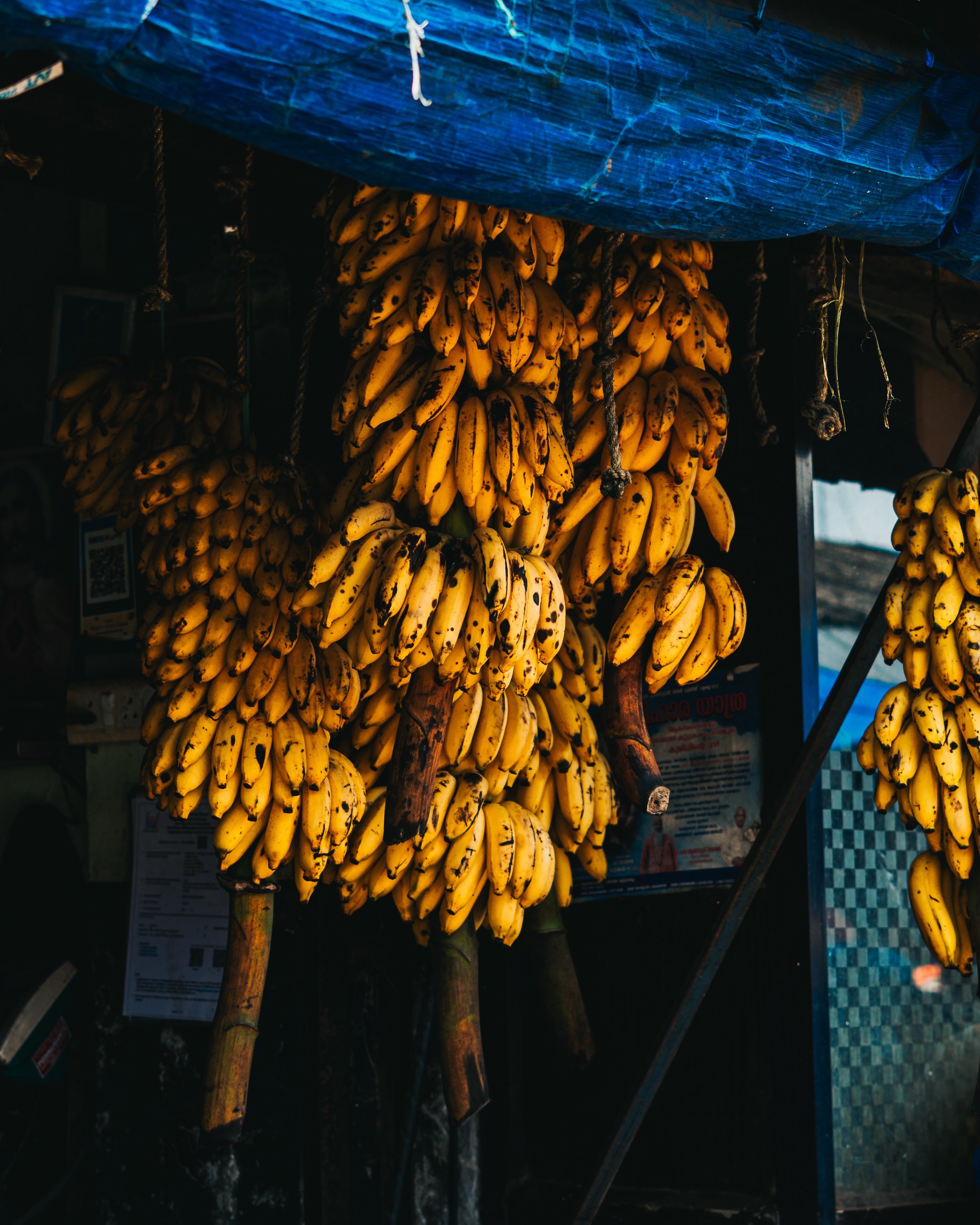 When you pause you notice&hellip; details, colour, shapes&hellip;
When they come together what you see is magic and not just the mundane&hellip;

The &ldquo;Not a Mundane day in my life&rdquo; series
Shot on : Sony Alpha @sonyalphain 
PP : Lightroom 