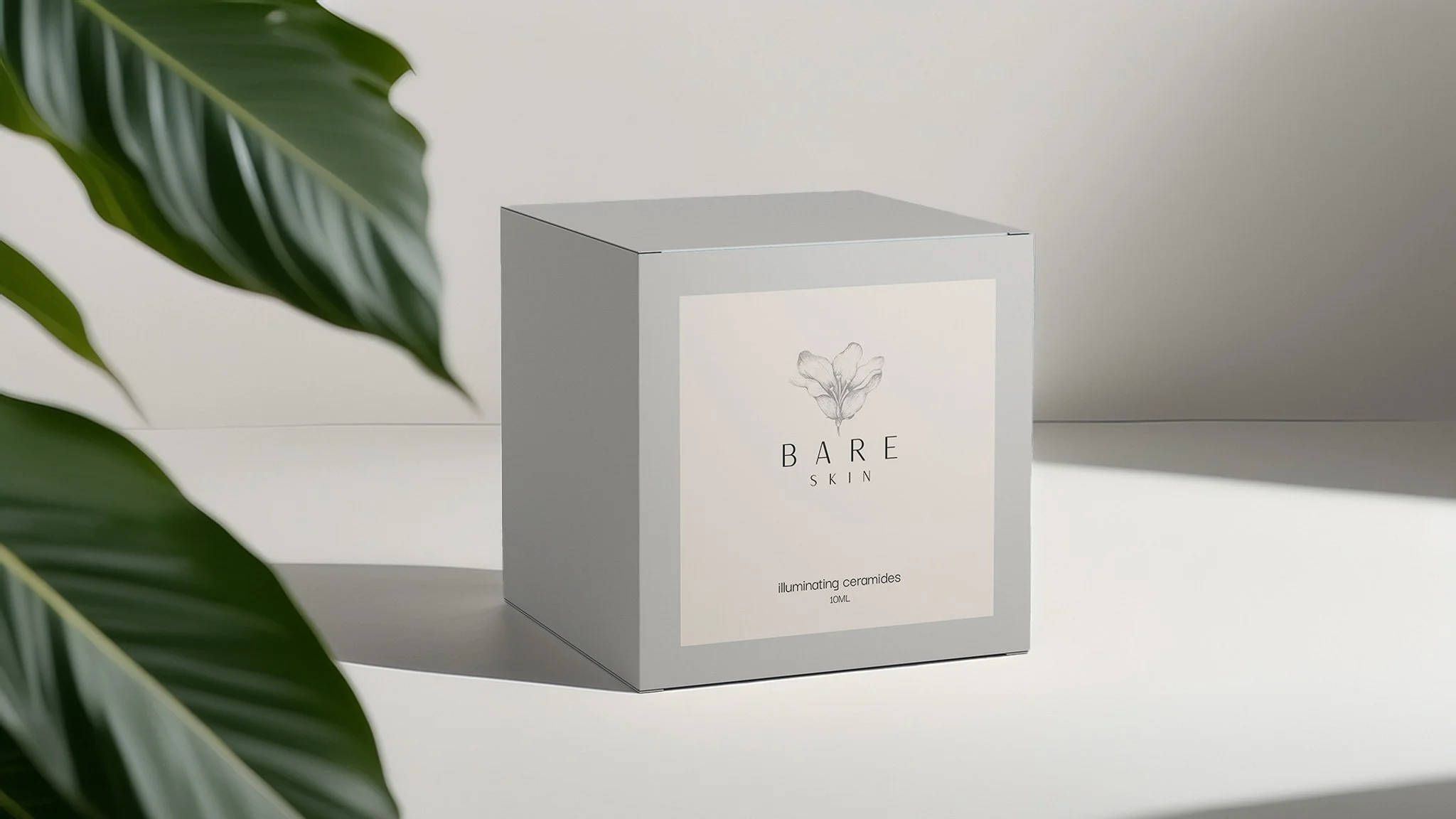 bare skin box mock up1-2.jpg
