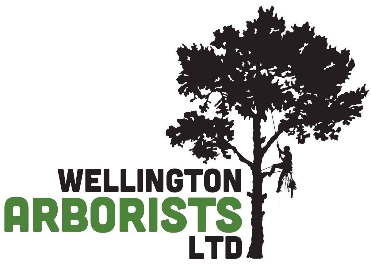 Wellington Arborsts