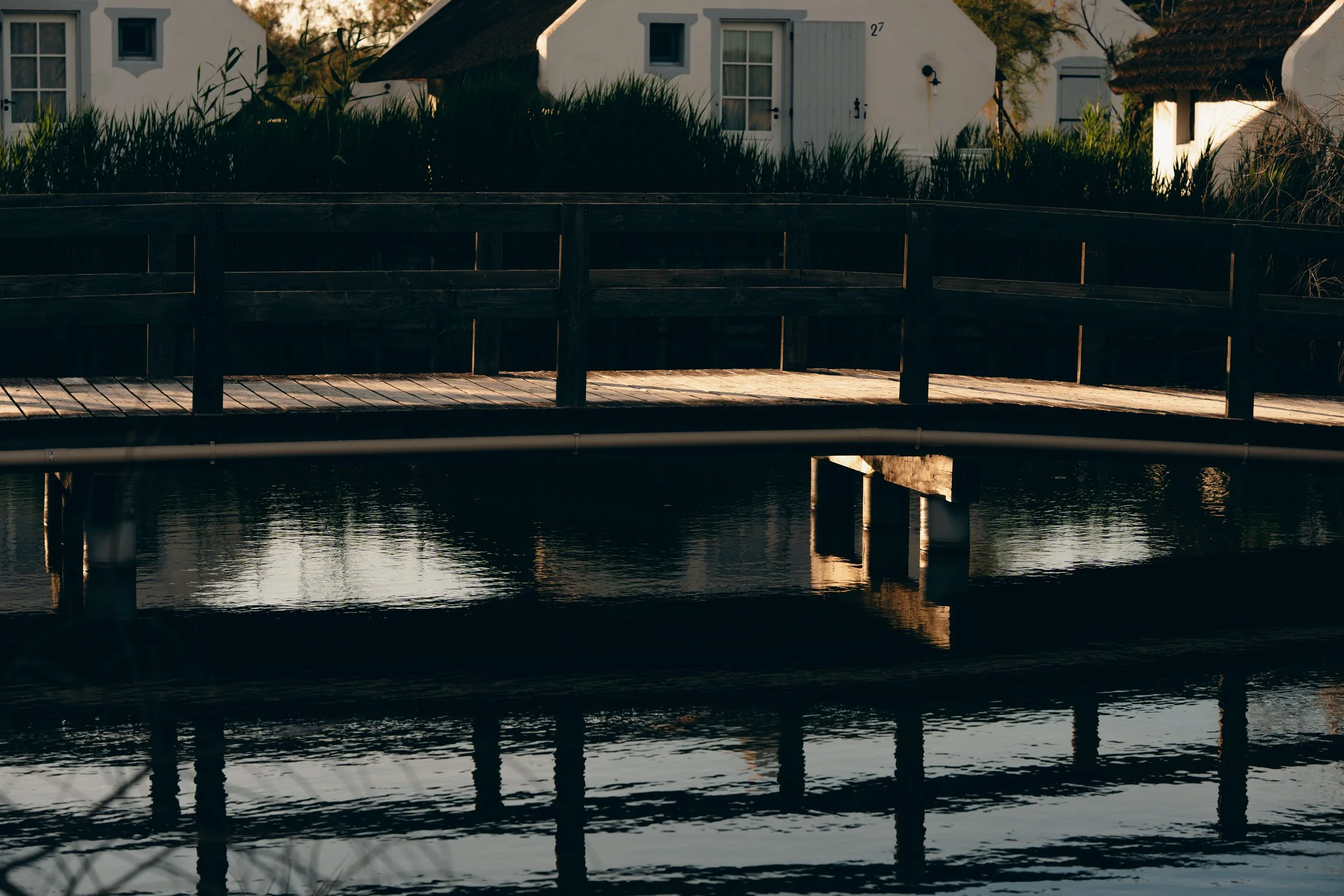 SB_03915.jpg
