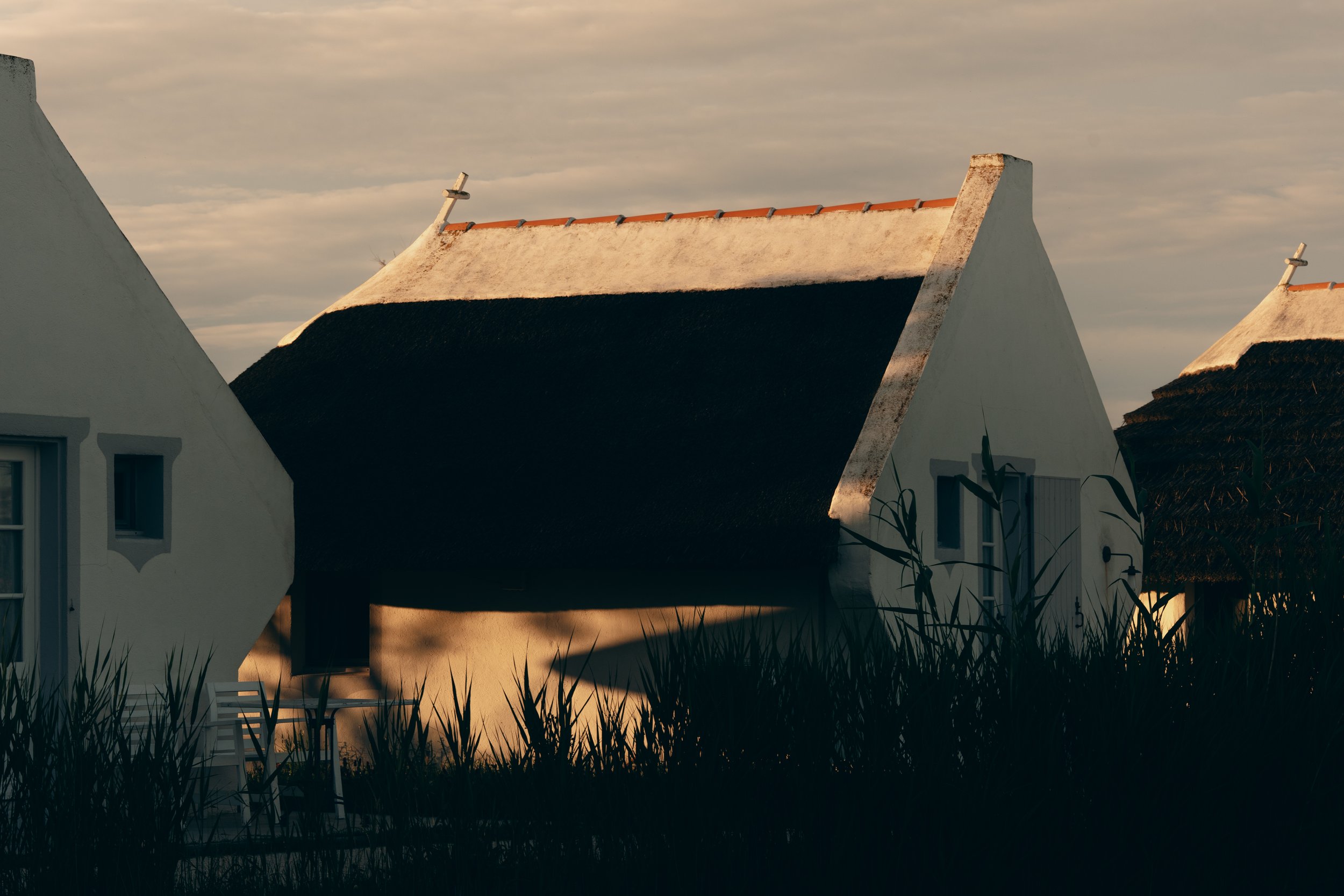 SB_03987.jpg