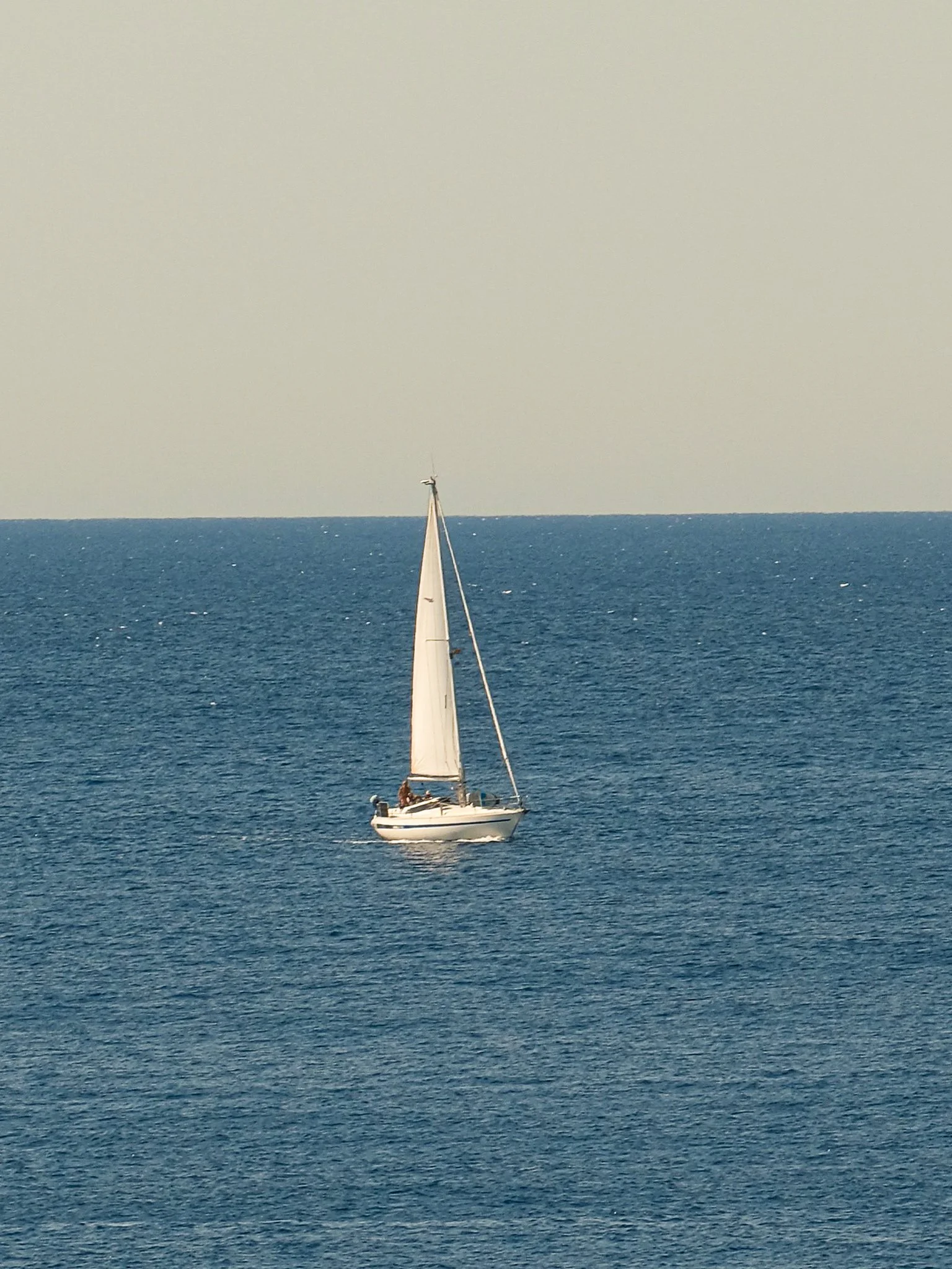 DSCF0022.jpg