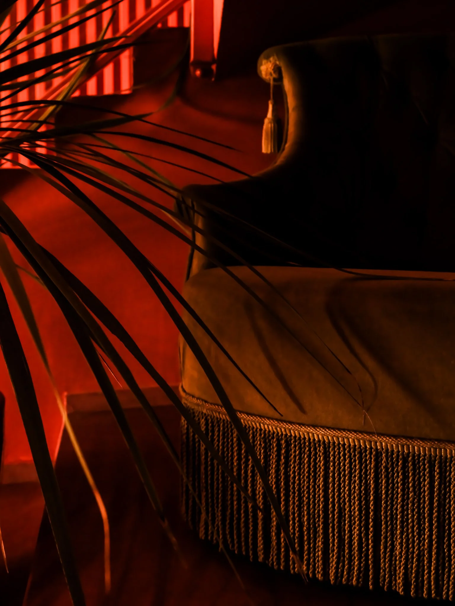 DSCF4474.jpg