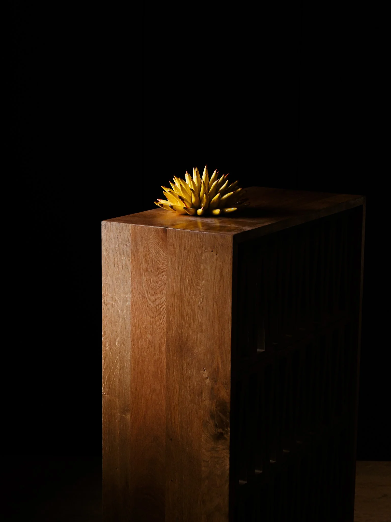 DSCF5312.jpg