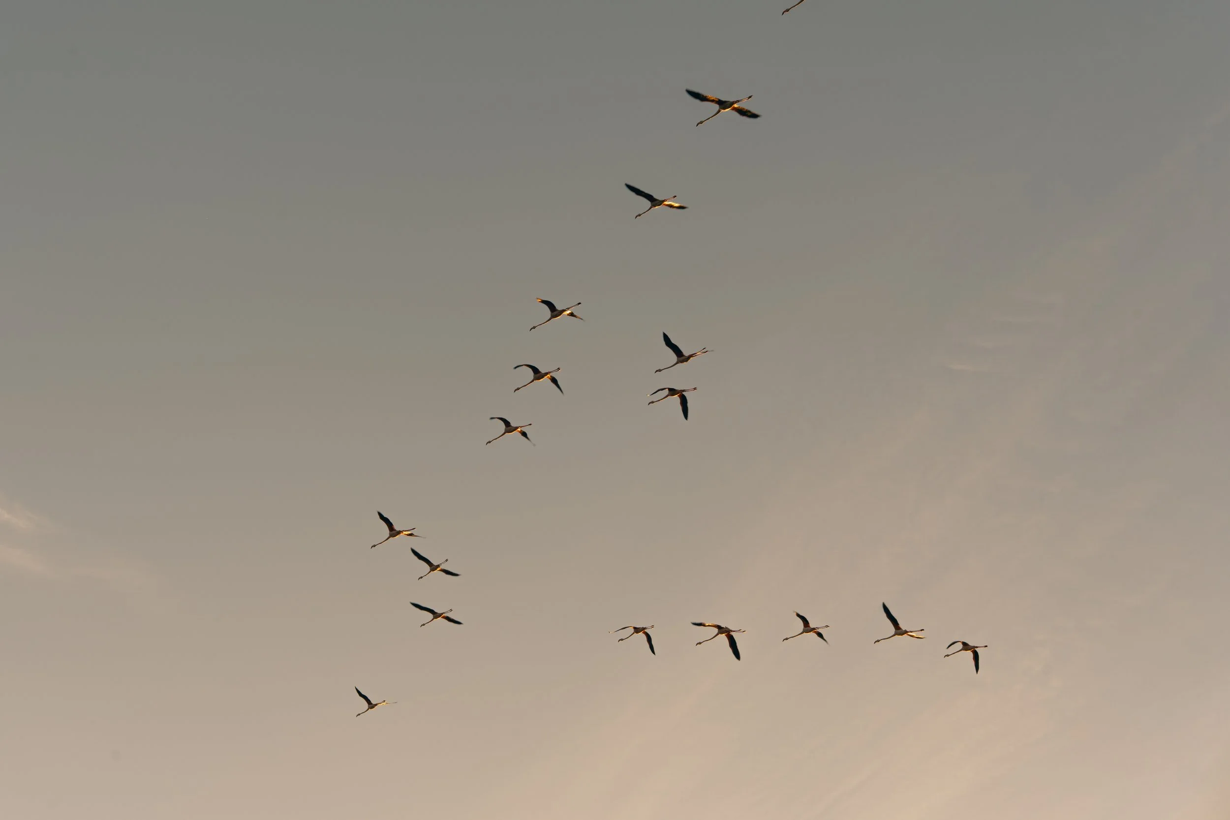 SB_04014.jpg