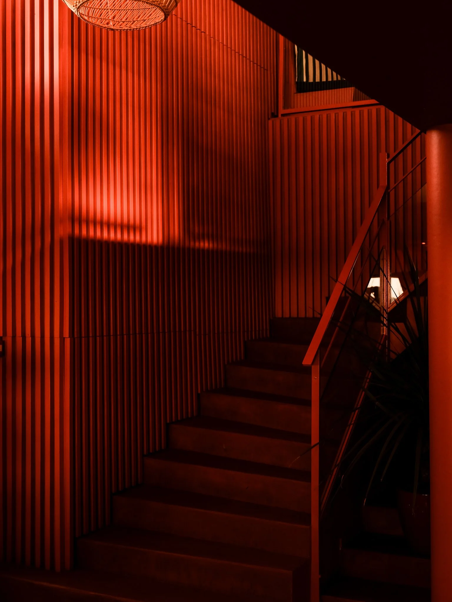 DSCF4441.jpg