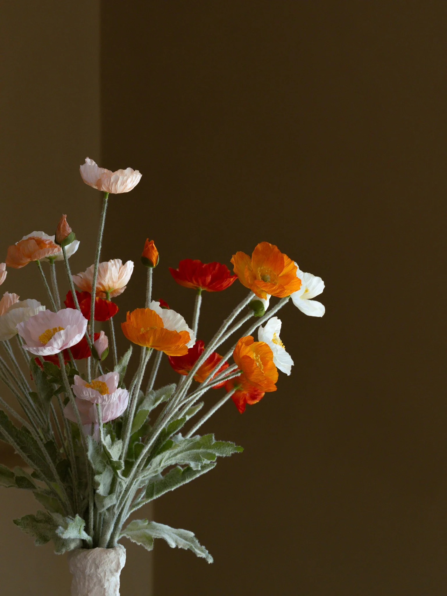 DSCF4304.jpg