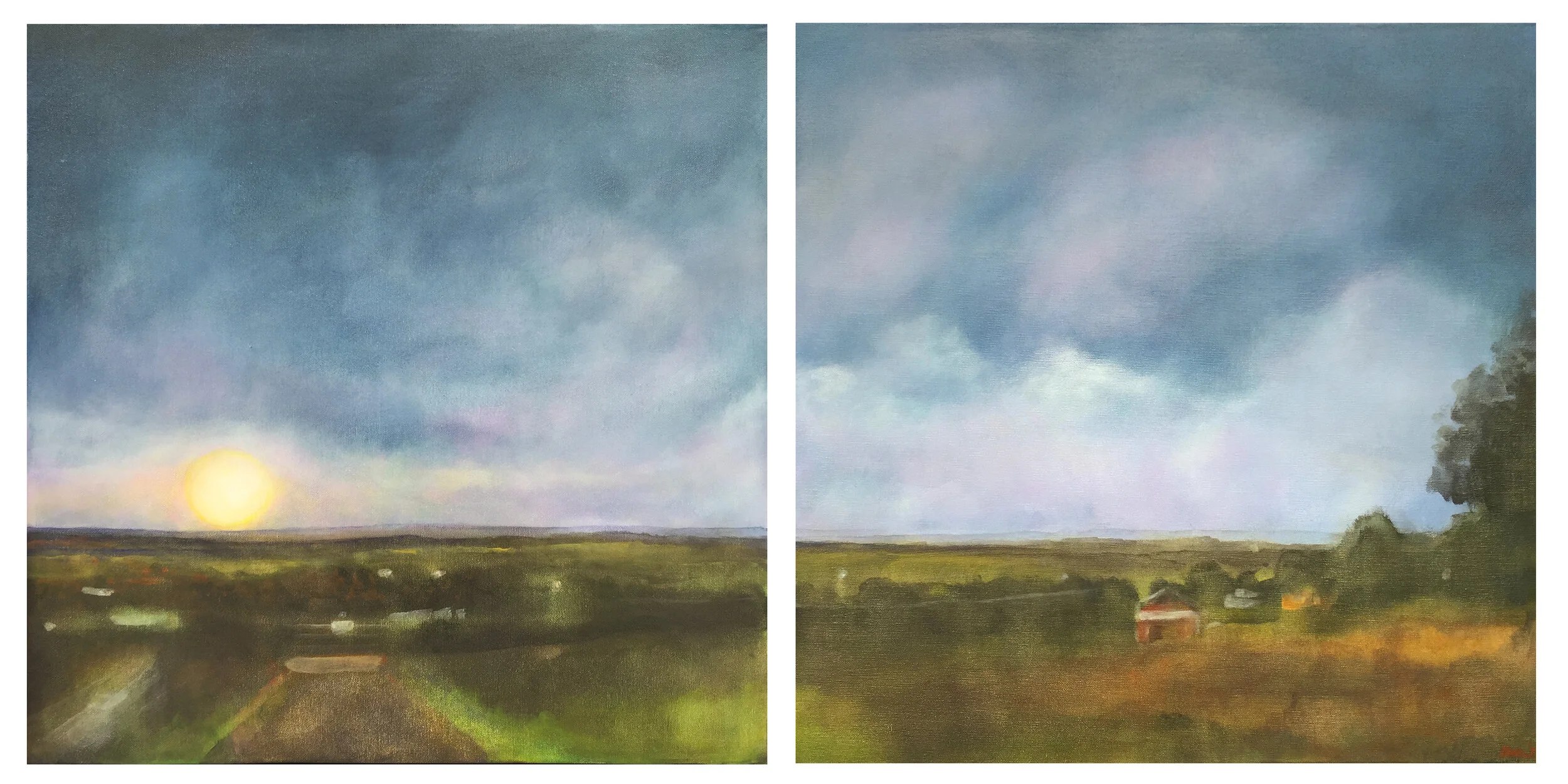 Untitled, acrylic on canvas, 30" x 30" (diptych)