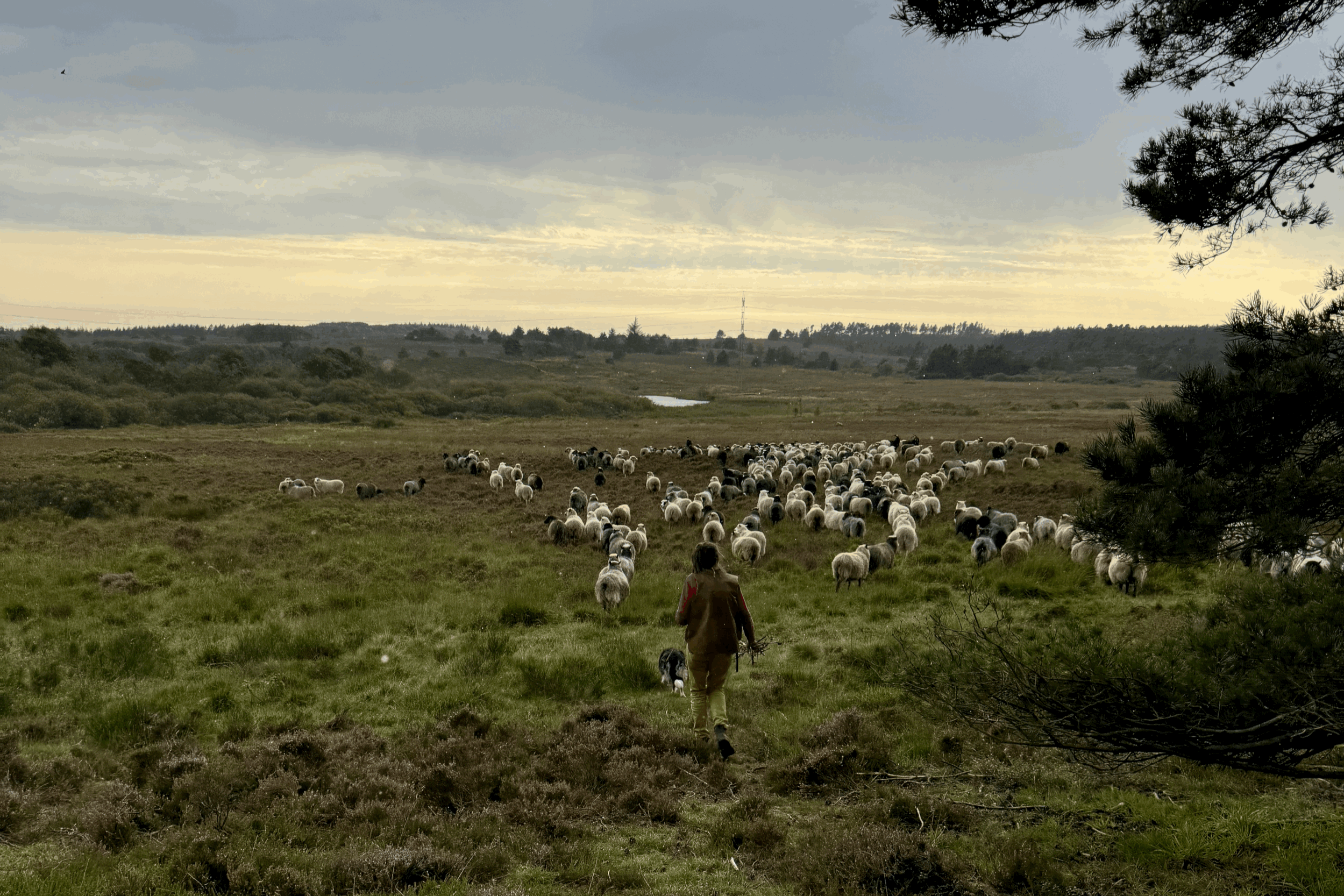 Fordybelse på Heden