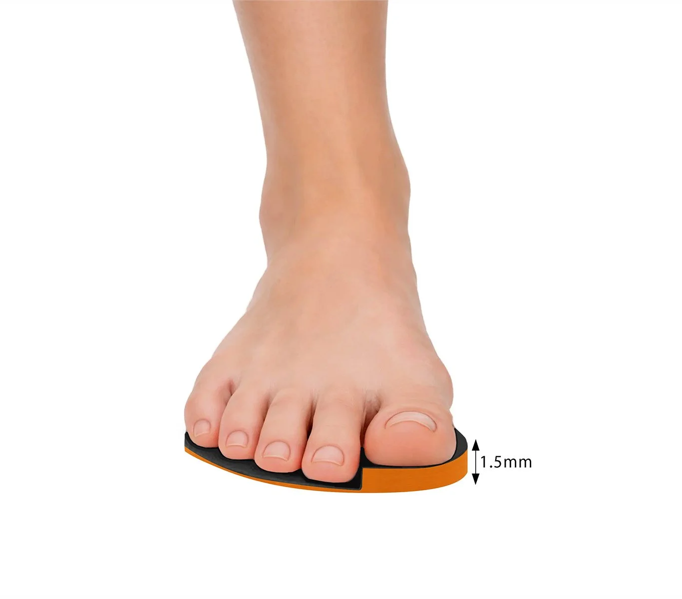 mortons to pcover 4.jpg