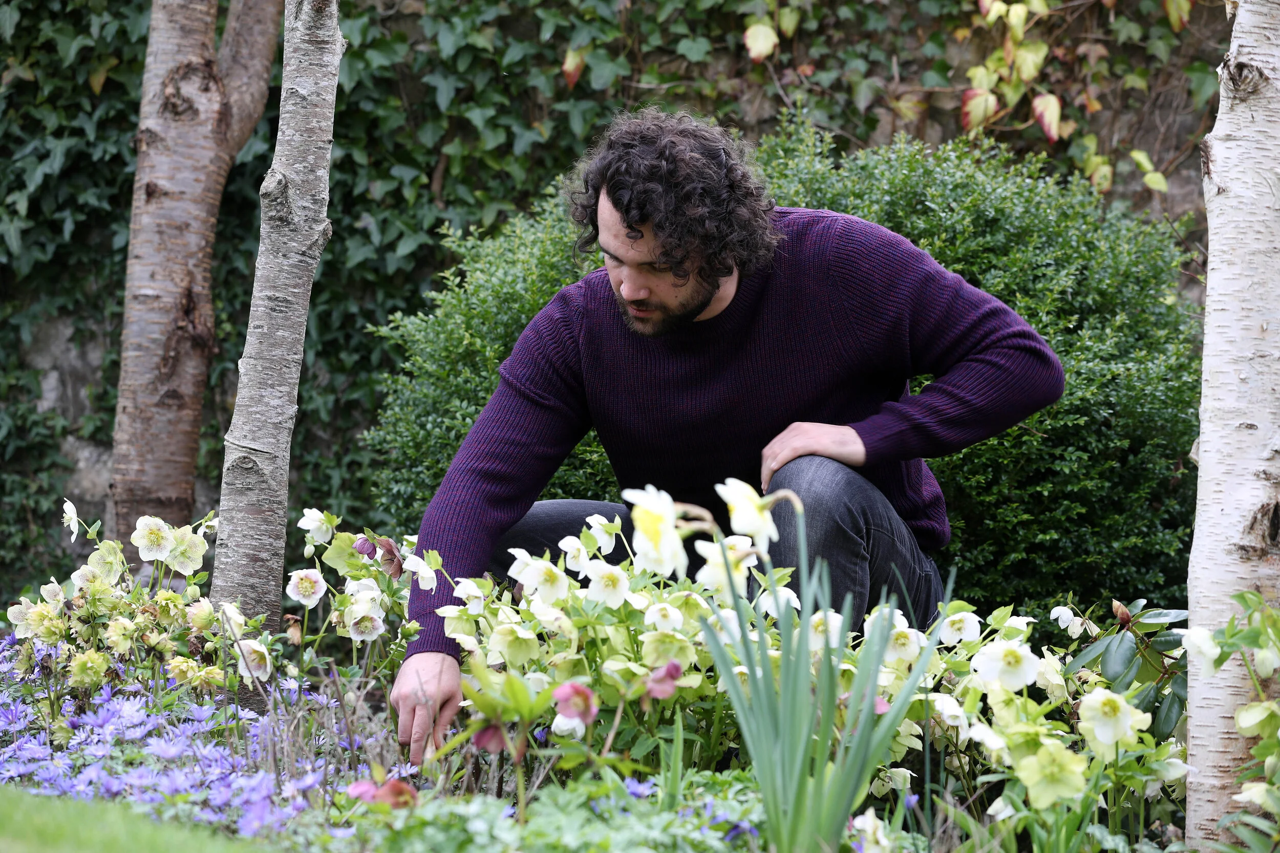 23.03.21.mh Welsh Water Garden Shoot 111.JPG